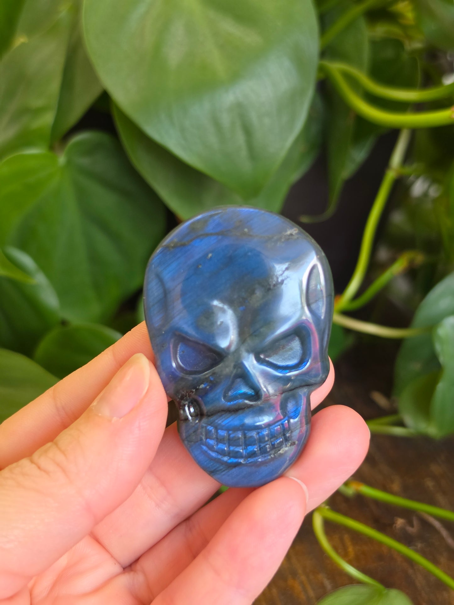 Labradorite Skull Carving "C"