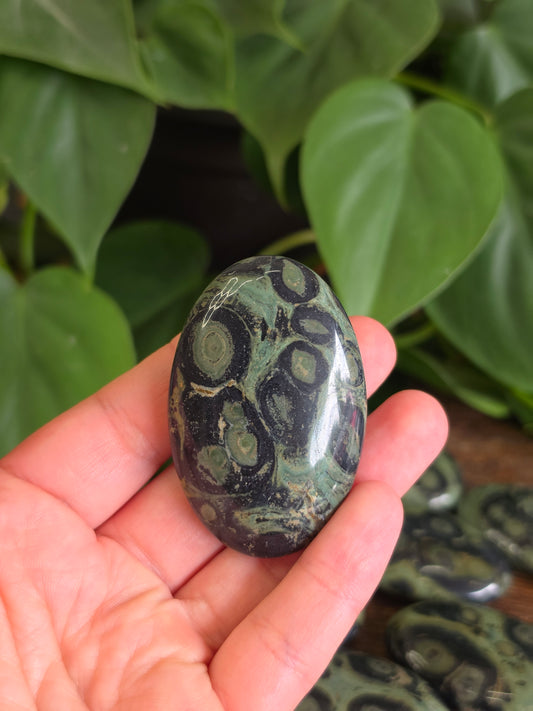 Kambaba Crystal Palm Stone (One Piece)