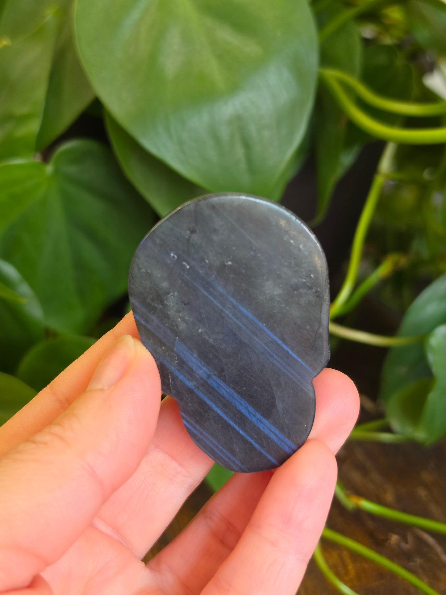 Labradorite Skull Carving "A"