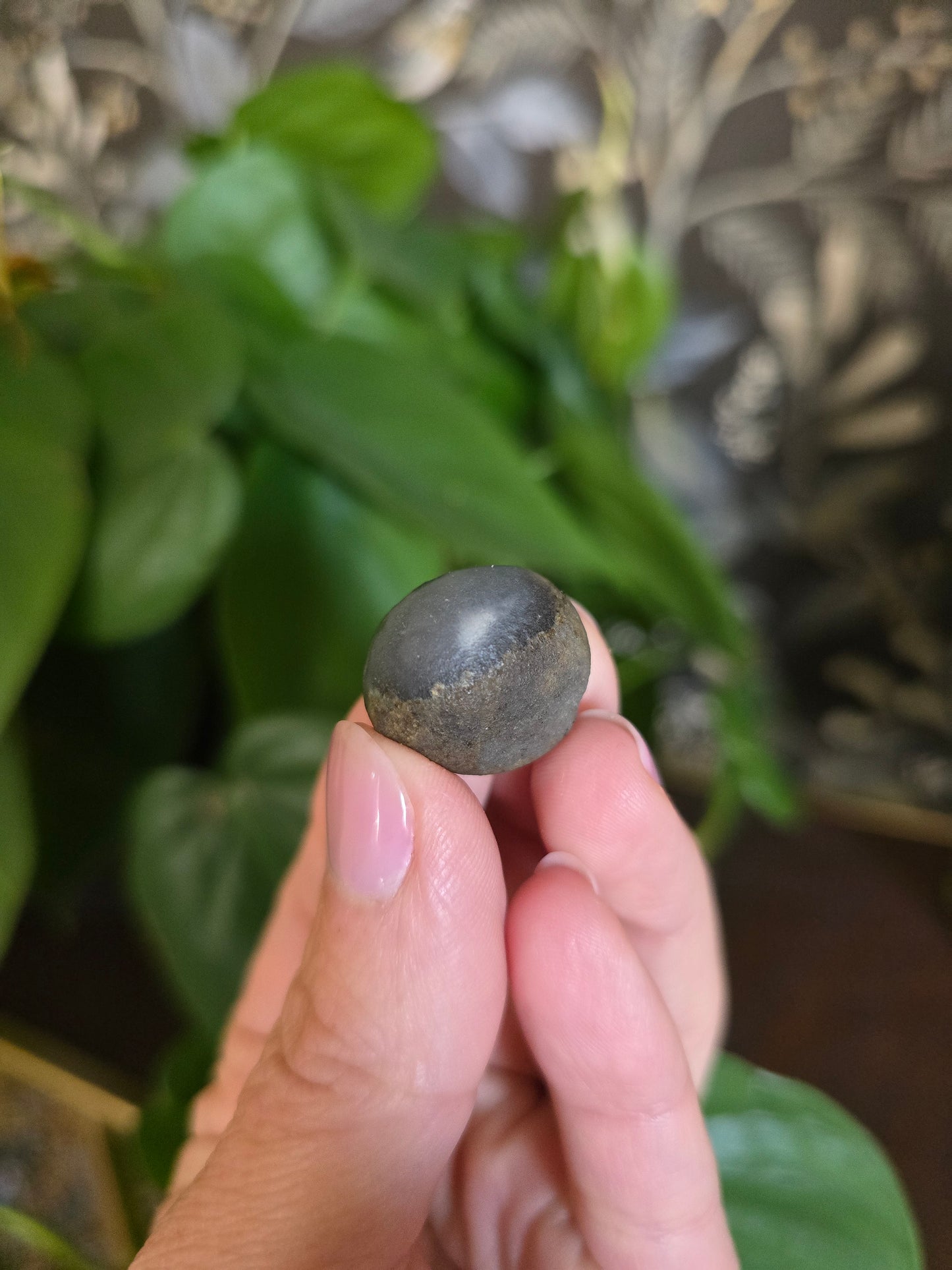 Natural Gobi Agate