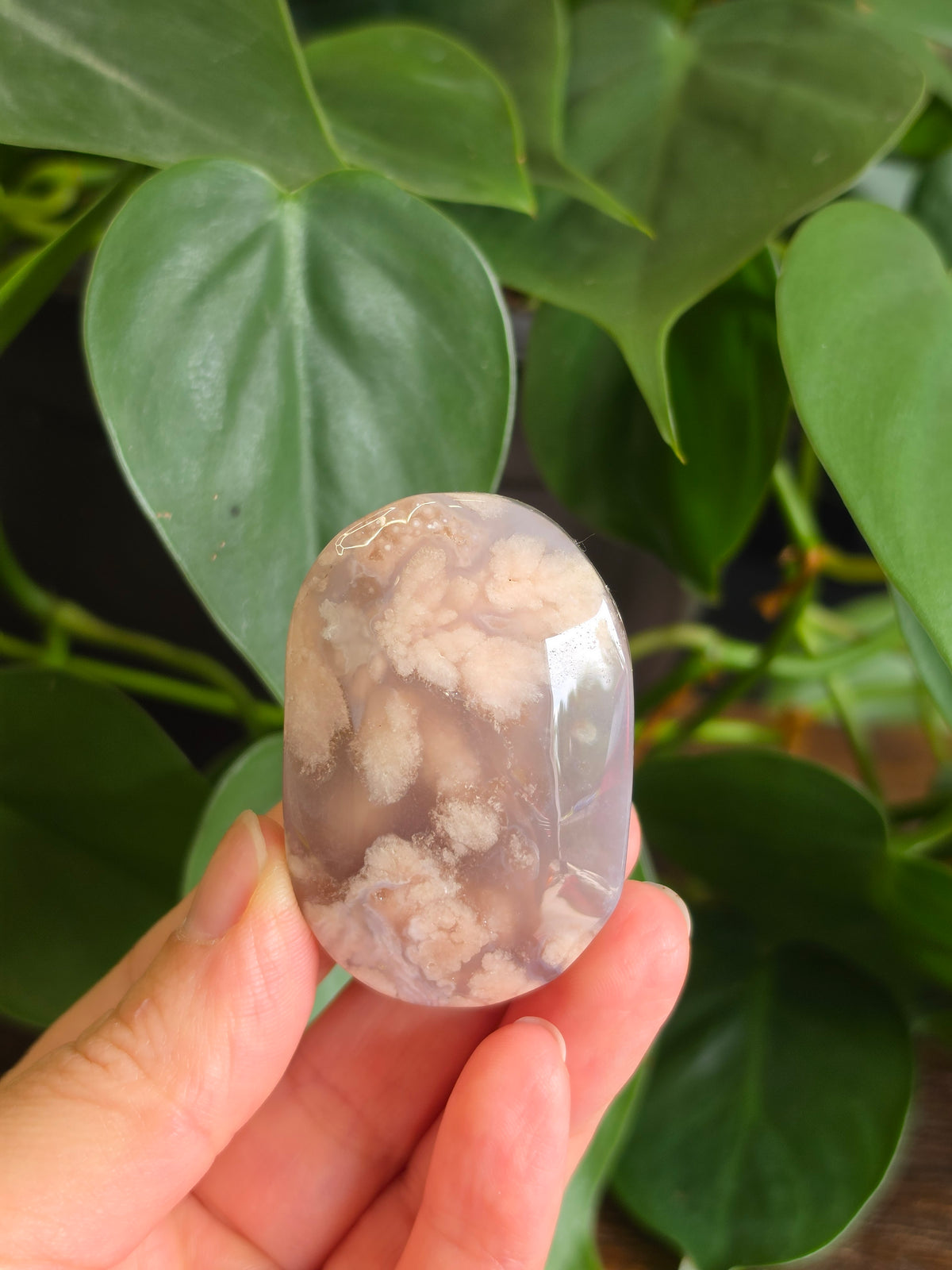 Flower Agate Crystal Palm Stone "A"