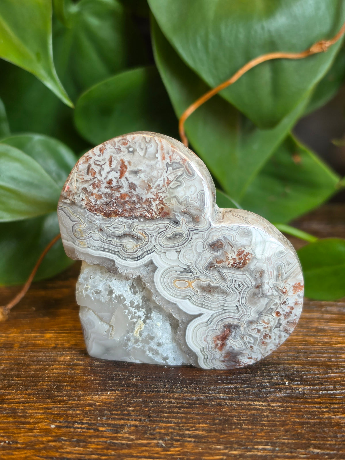 Mexican Crazy Lace Agate Crystal Heart Carving "A"
