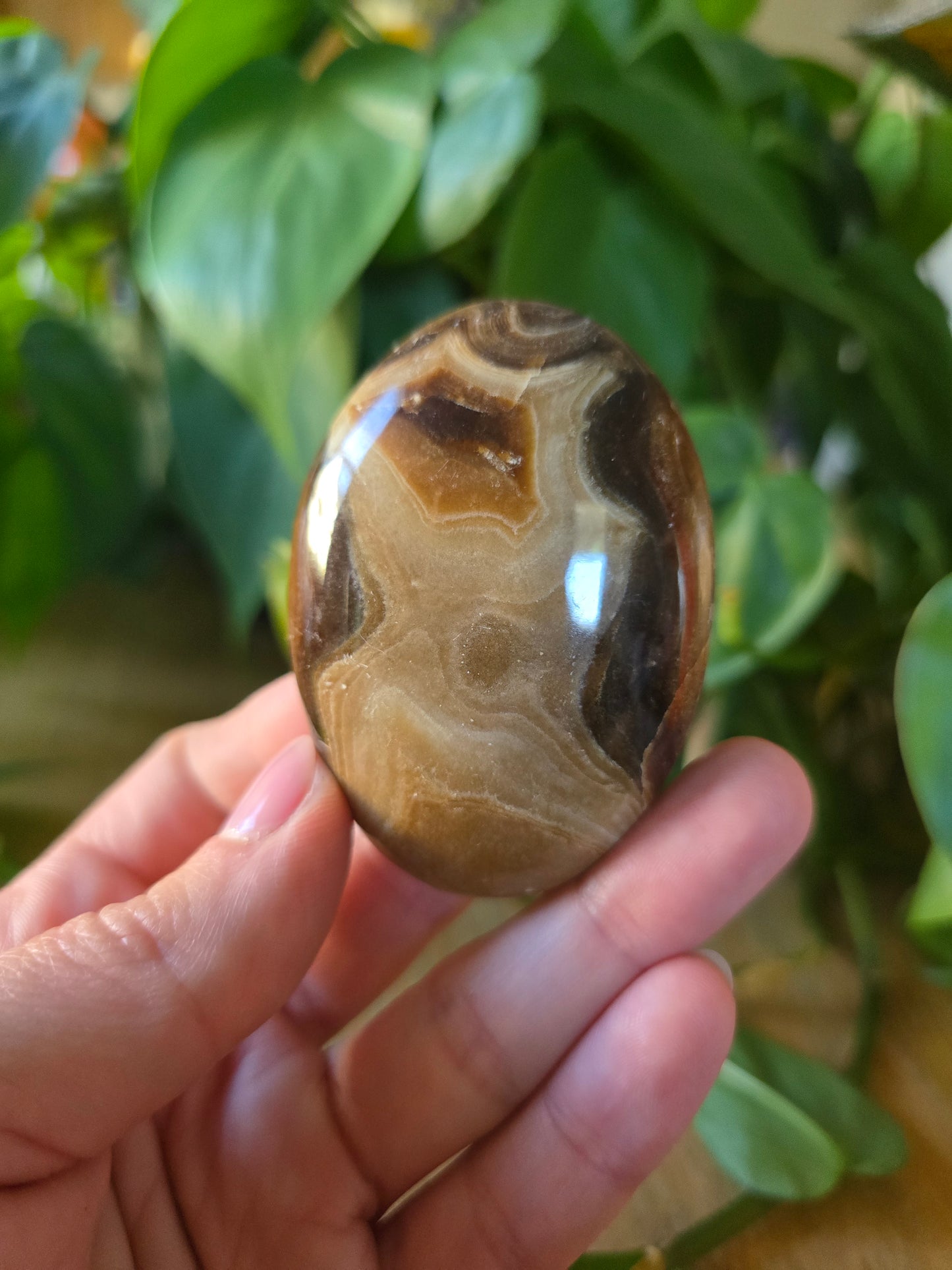 Chocolate Calcite Palm Stone