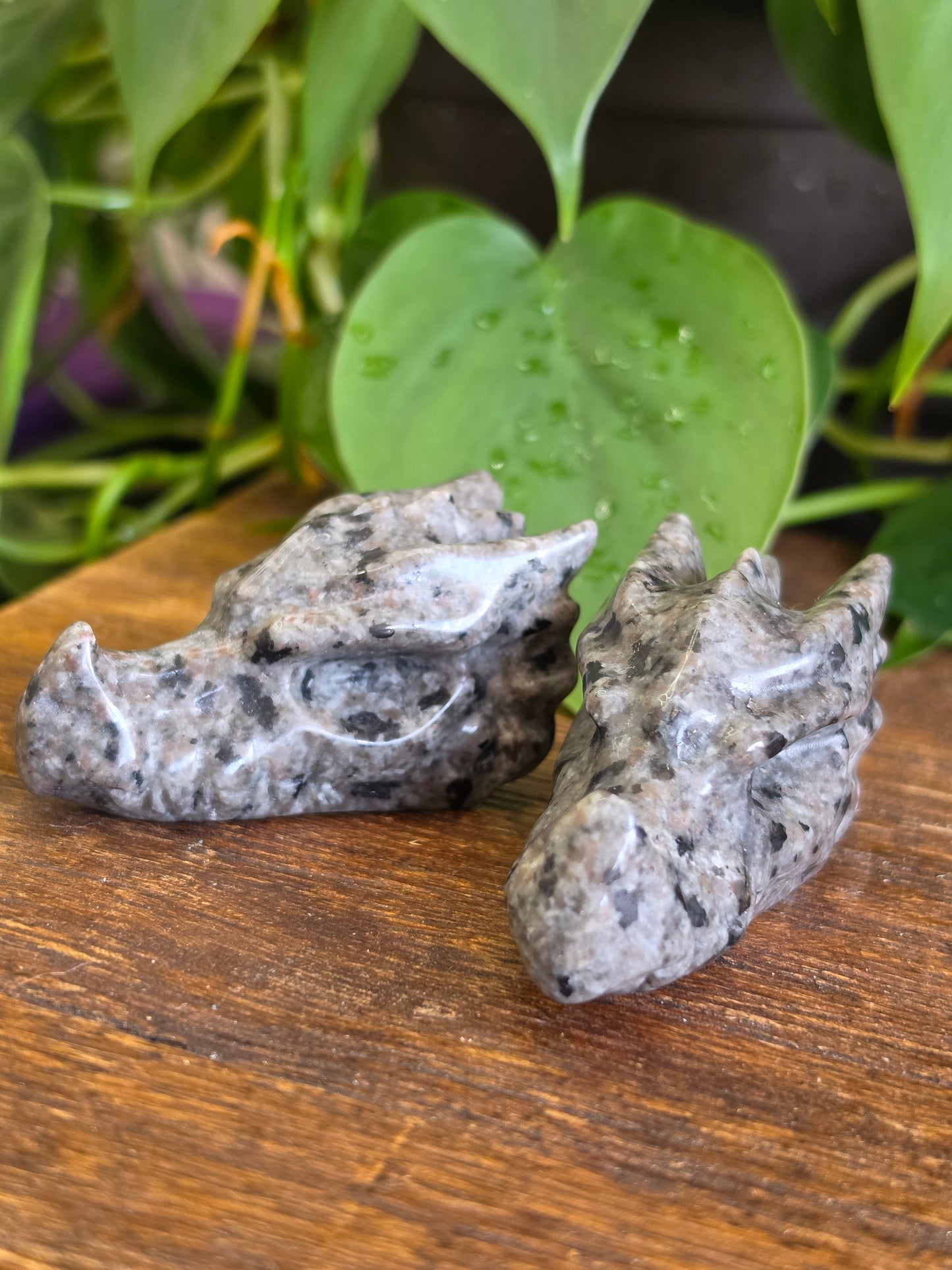 UV Reactive Sodalite Yooperlite Dragon Skull Carving (One Piece)