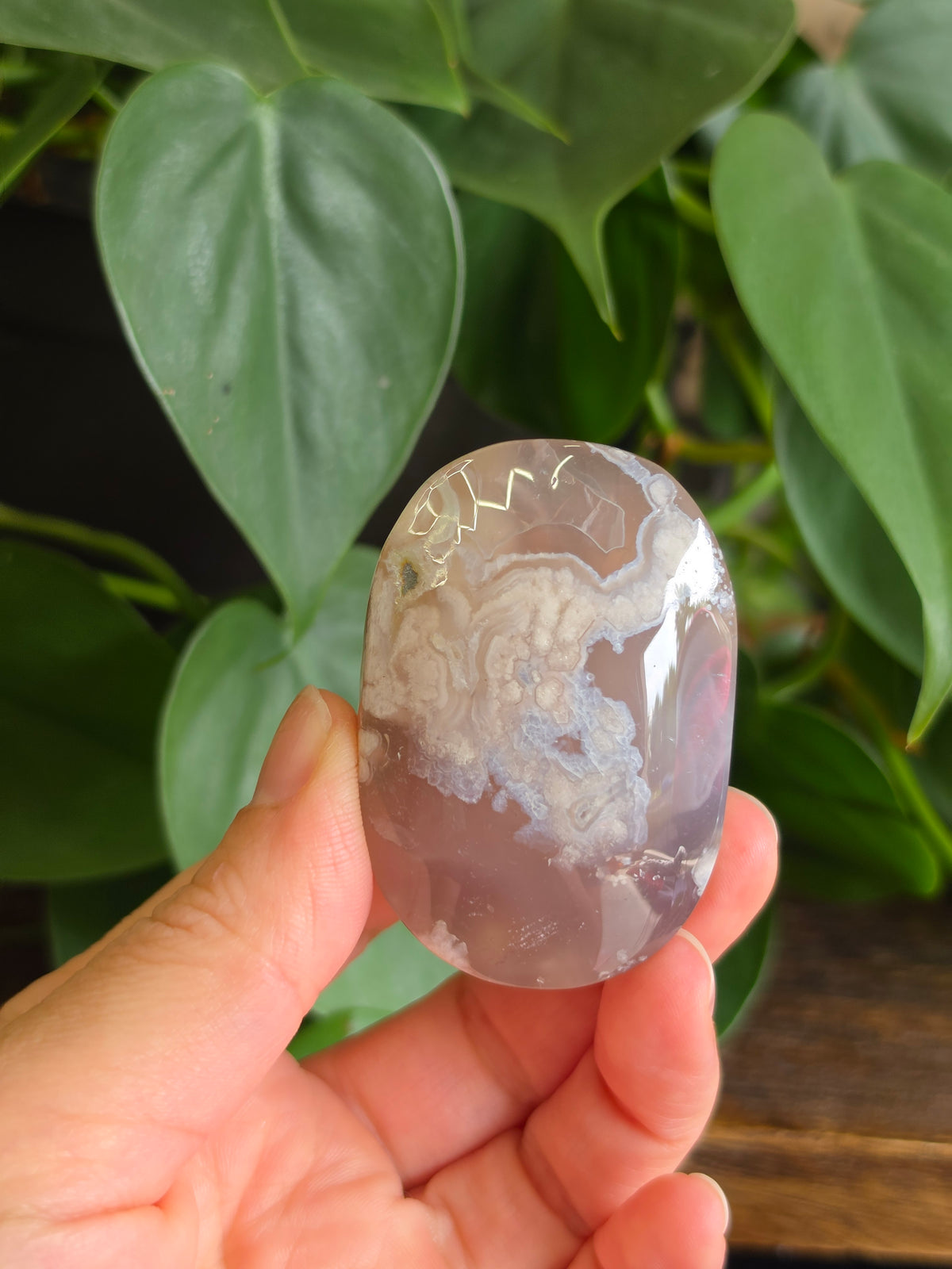 Flower Agate Crystal Palm Stone "F"