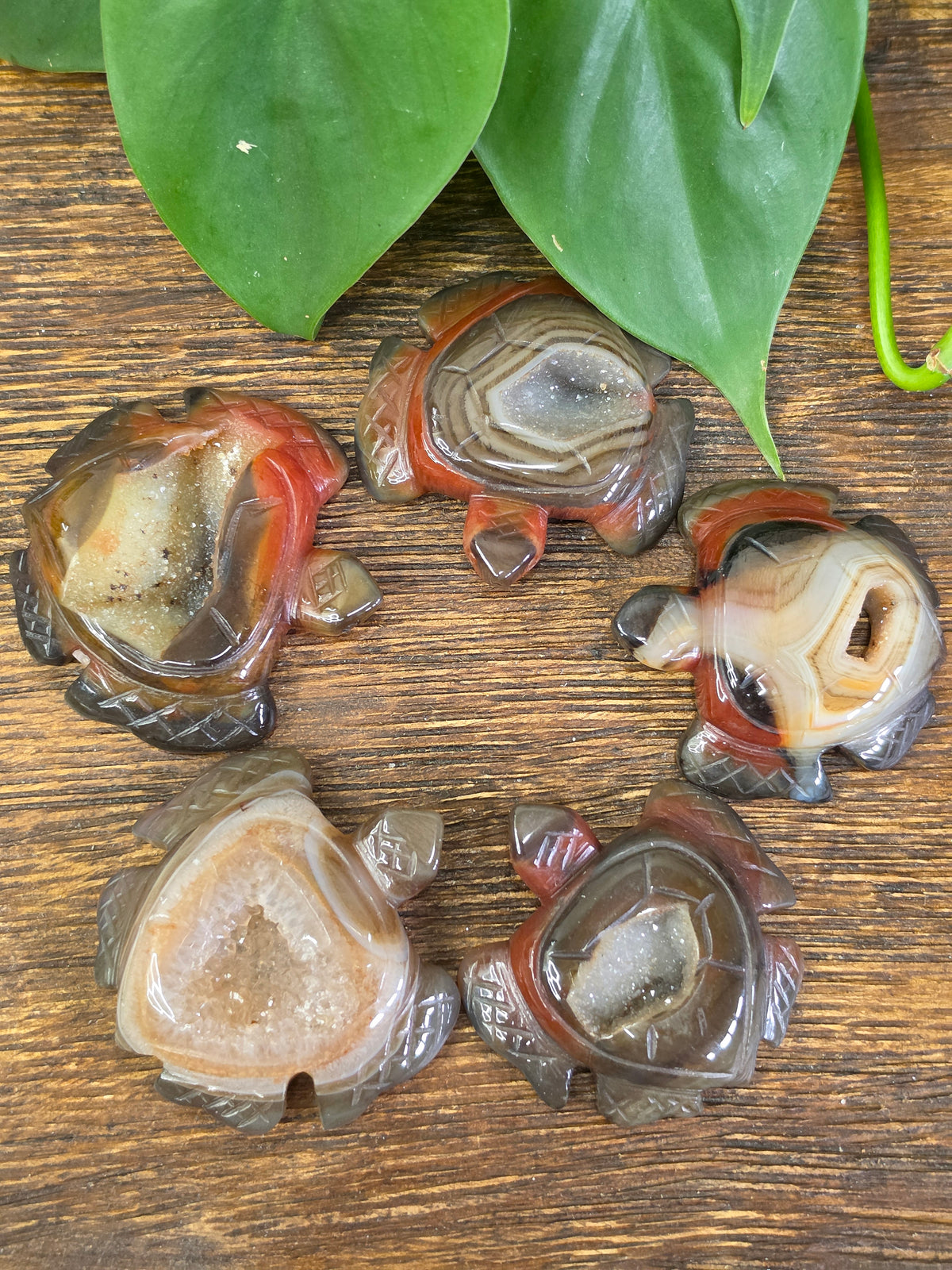 Agate Crystal Druzy Turtle Carving