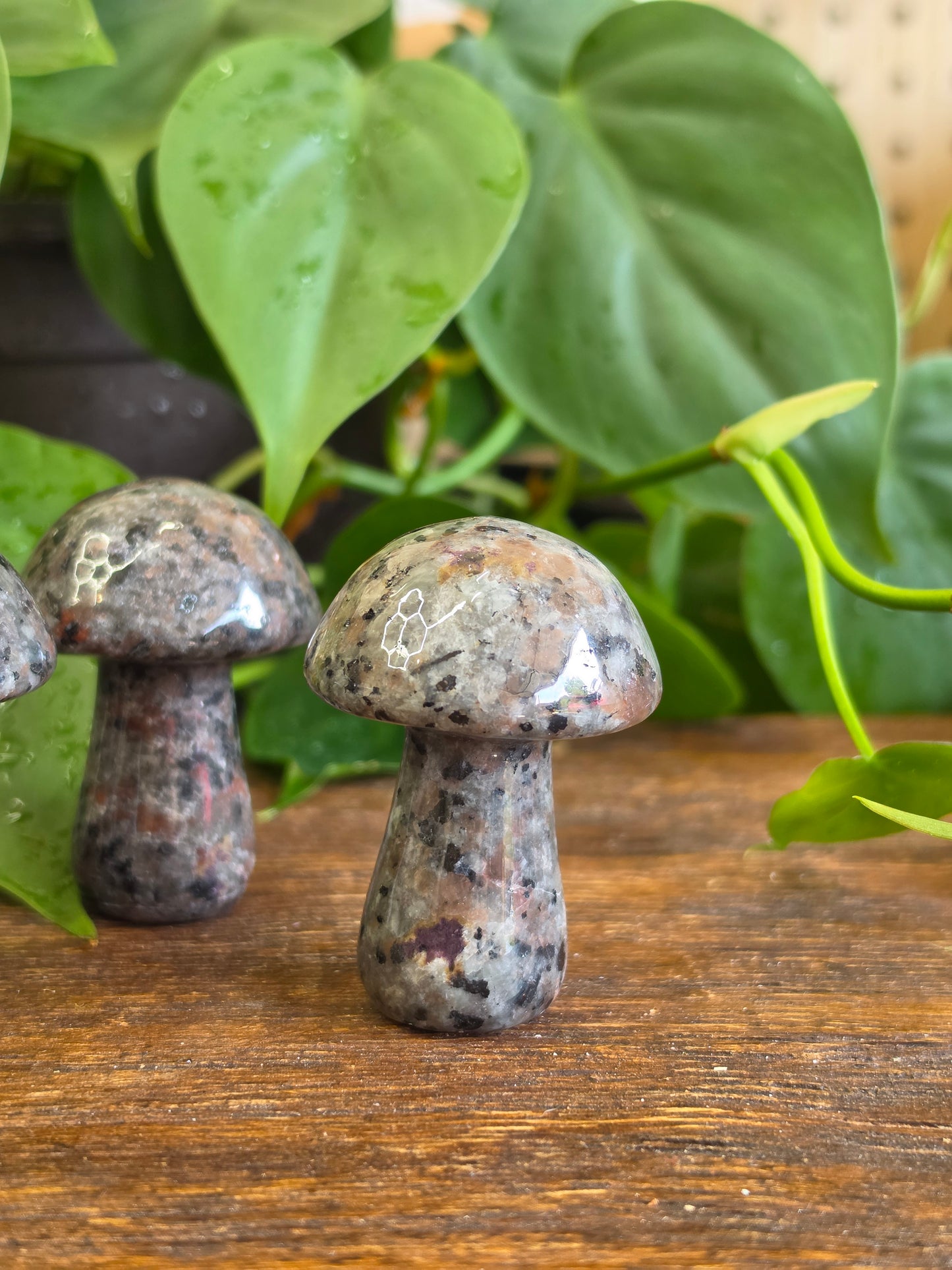 UV Reactive Sodalite Yooperlite Mushroom Carving (One Piece)