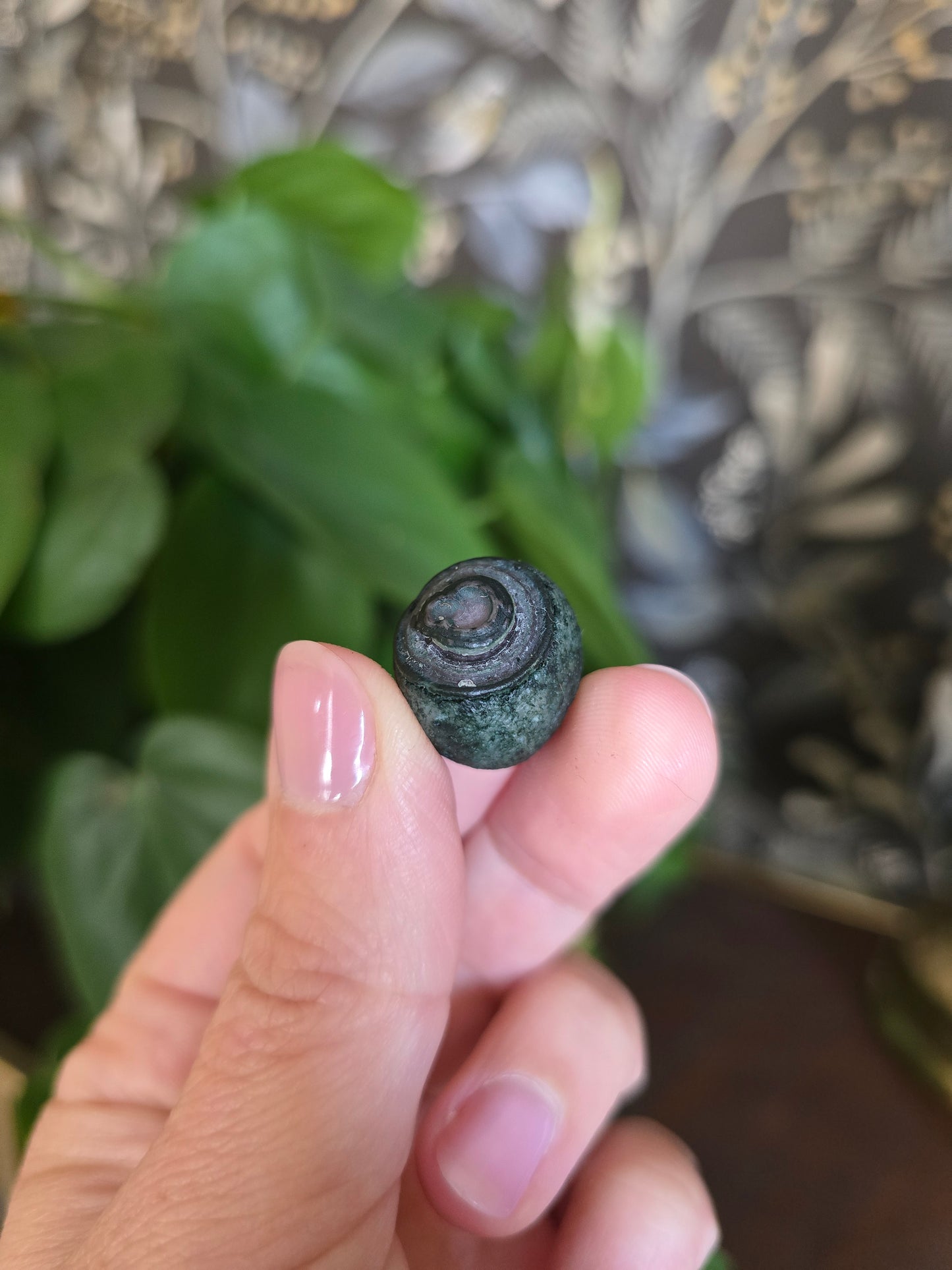Natural Gobi Agate