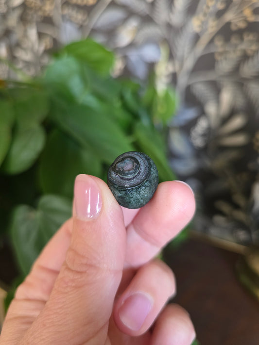 Natural Gobi Agate