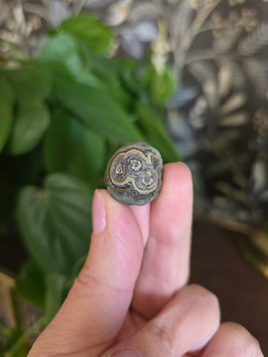 Natural Gobi Agate
