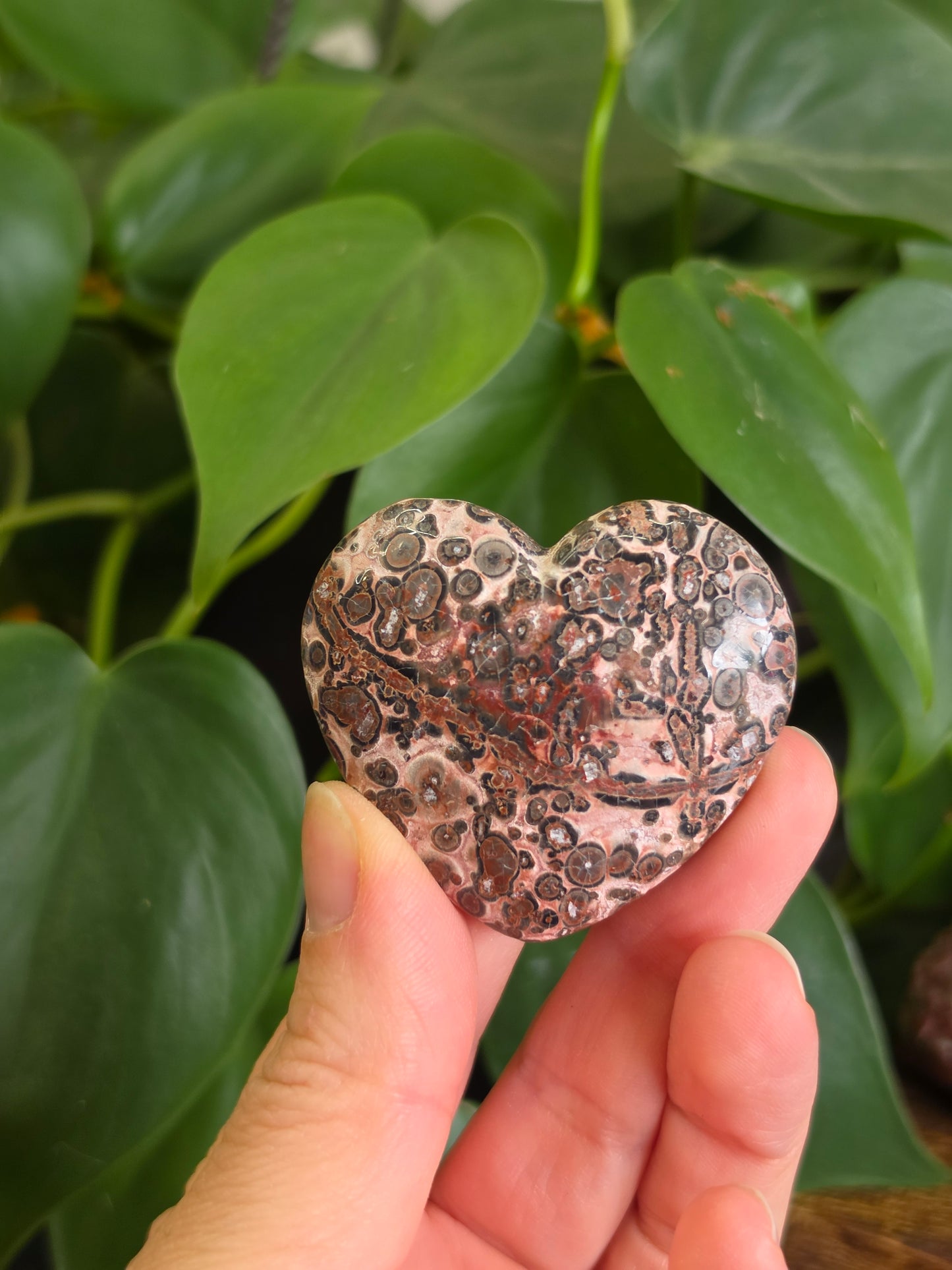 Leopard Skin Jasper Crystal Heart Carving "A"