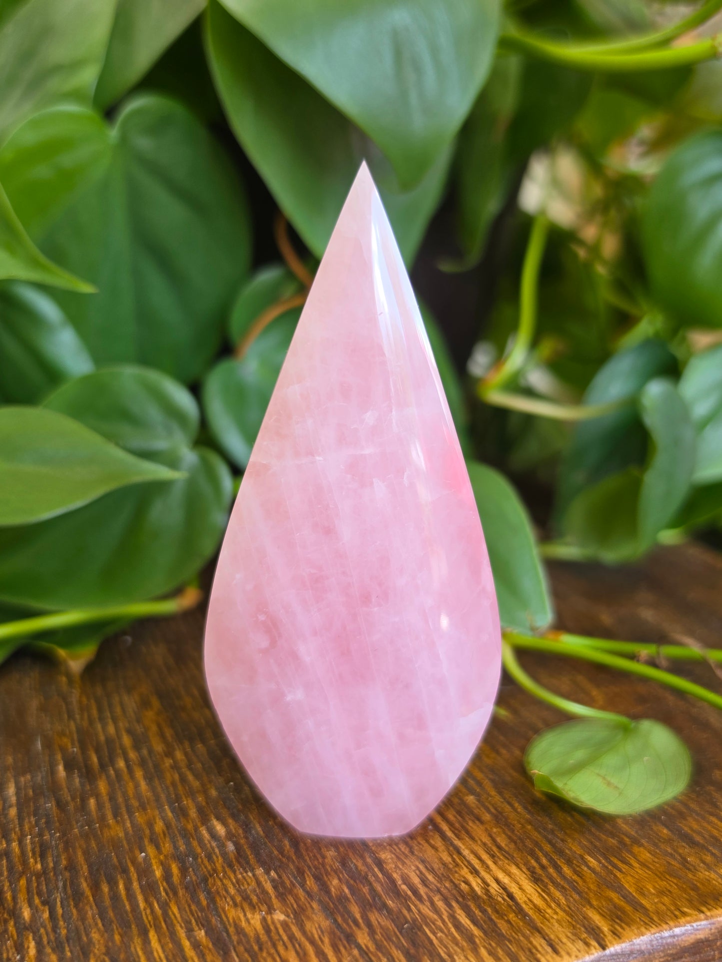 Rose Quartz Flipper Carving "B"