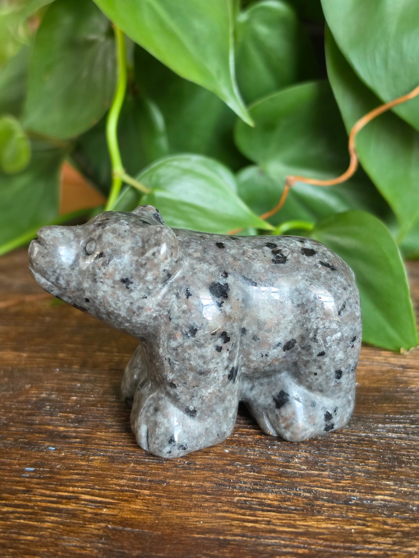 UV Reactive Sodalite (Yooperlite) Crystal Bear Carving
