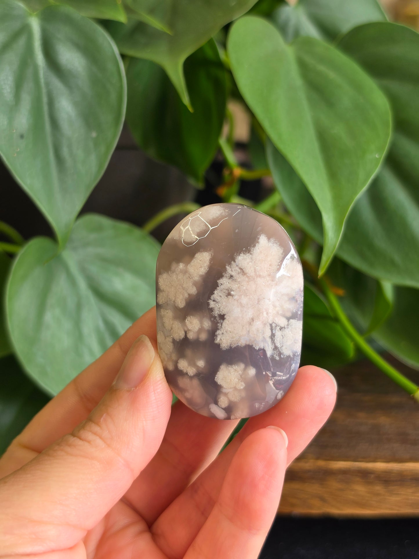 Flower Agate Crystal Palm Stone "C"