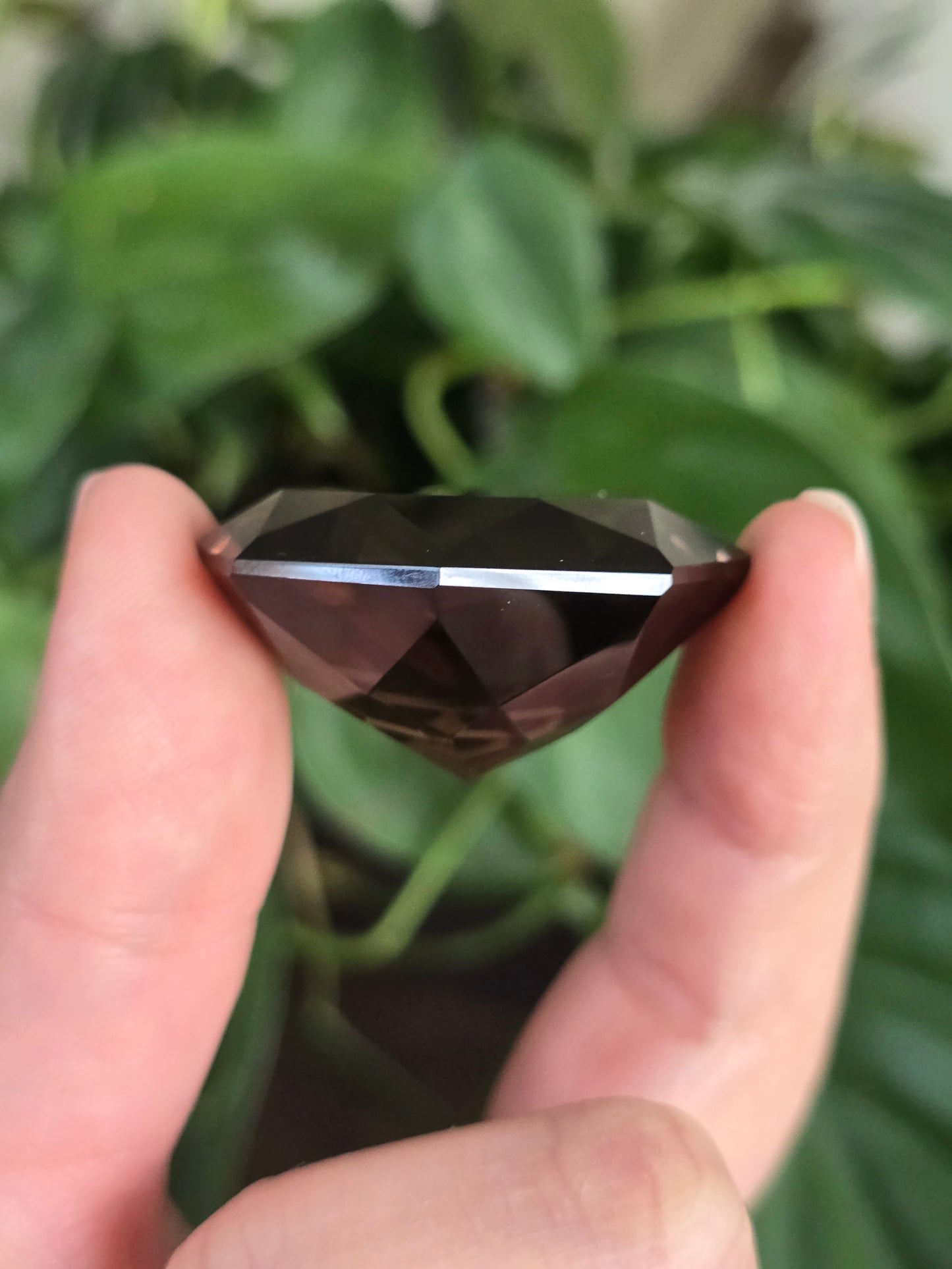 Smoky Quartz Faceted Crystal