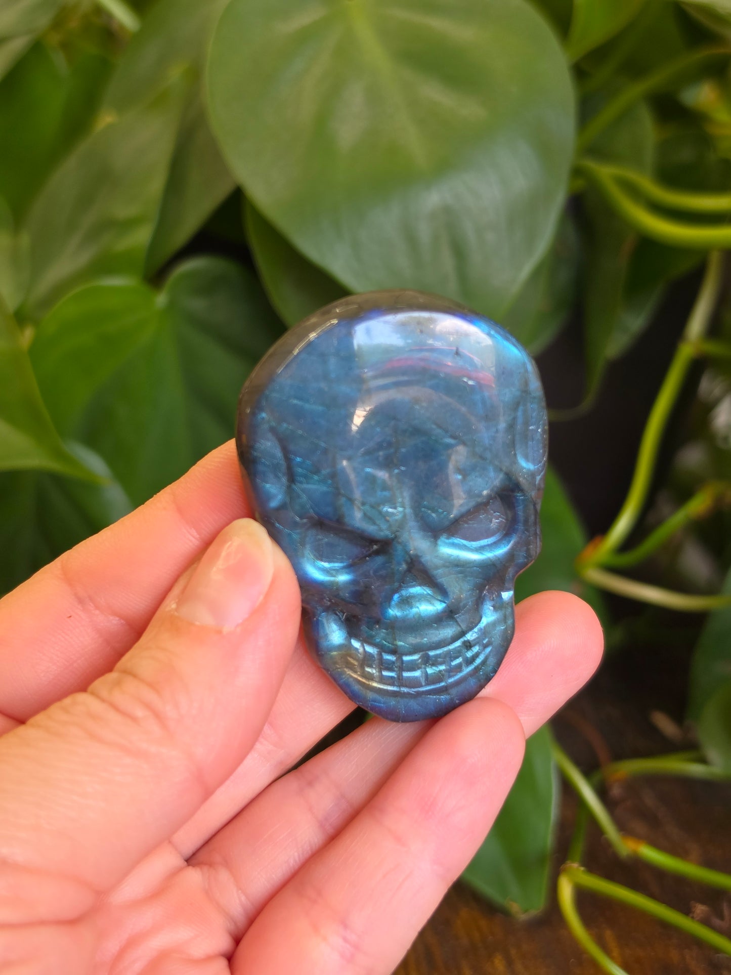 Labradorite Skull Carving "B"