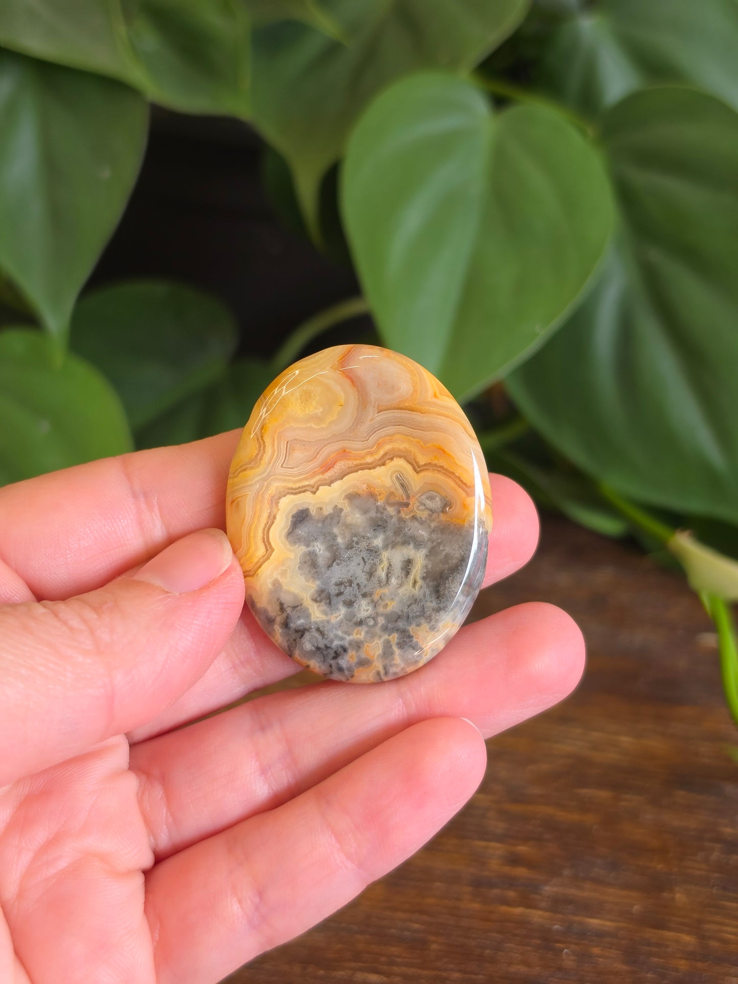 Mexican Crazy Lace Agate Crystal Worry Stone