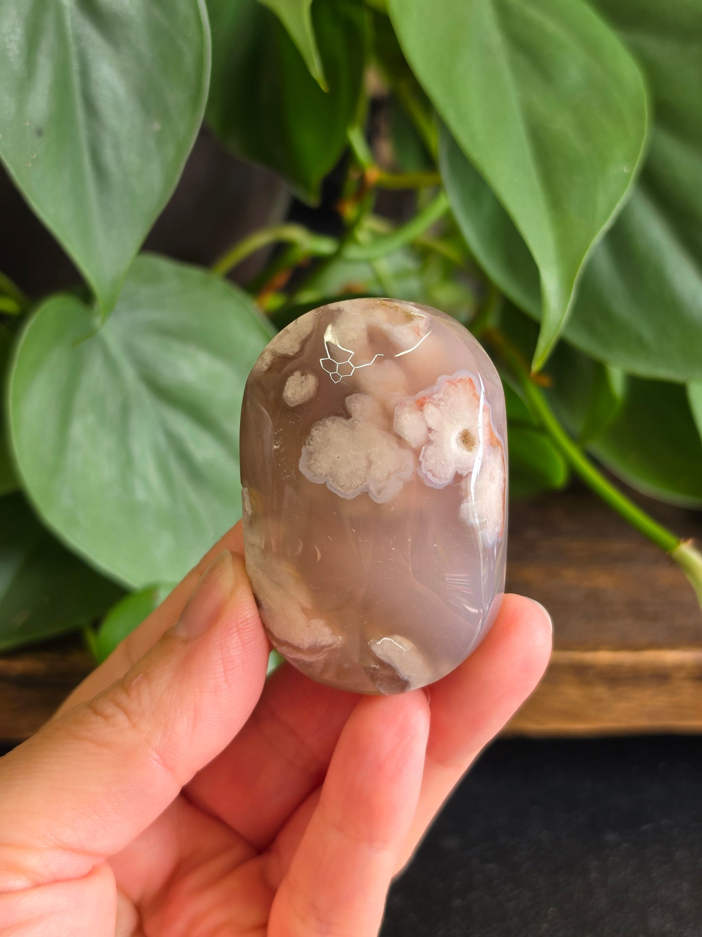 Flower Agate Crystal Palm Stone "D"