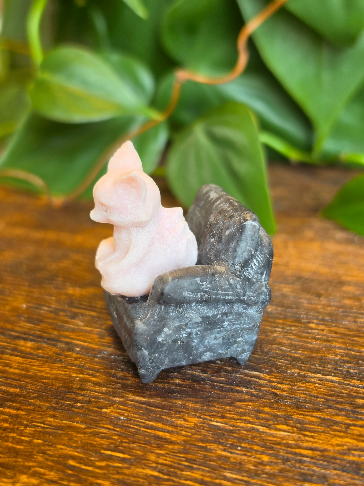 Pink Opal Fox on a Larvikite Chair