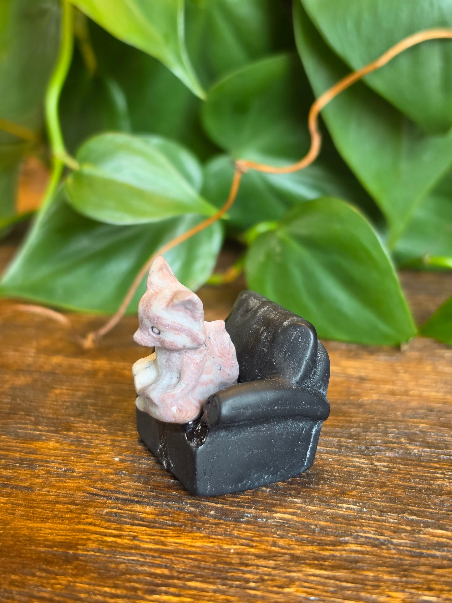 Picture Jasper Fox on an Obsidian Chair