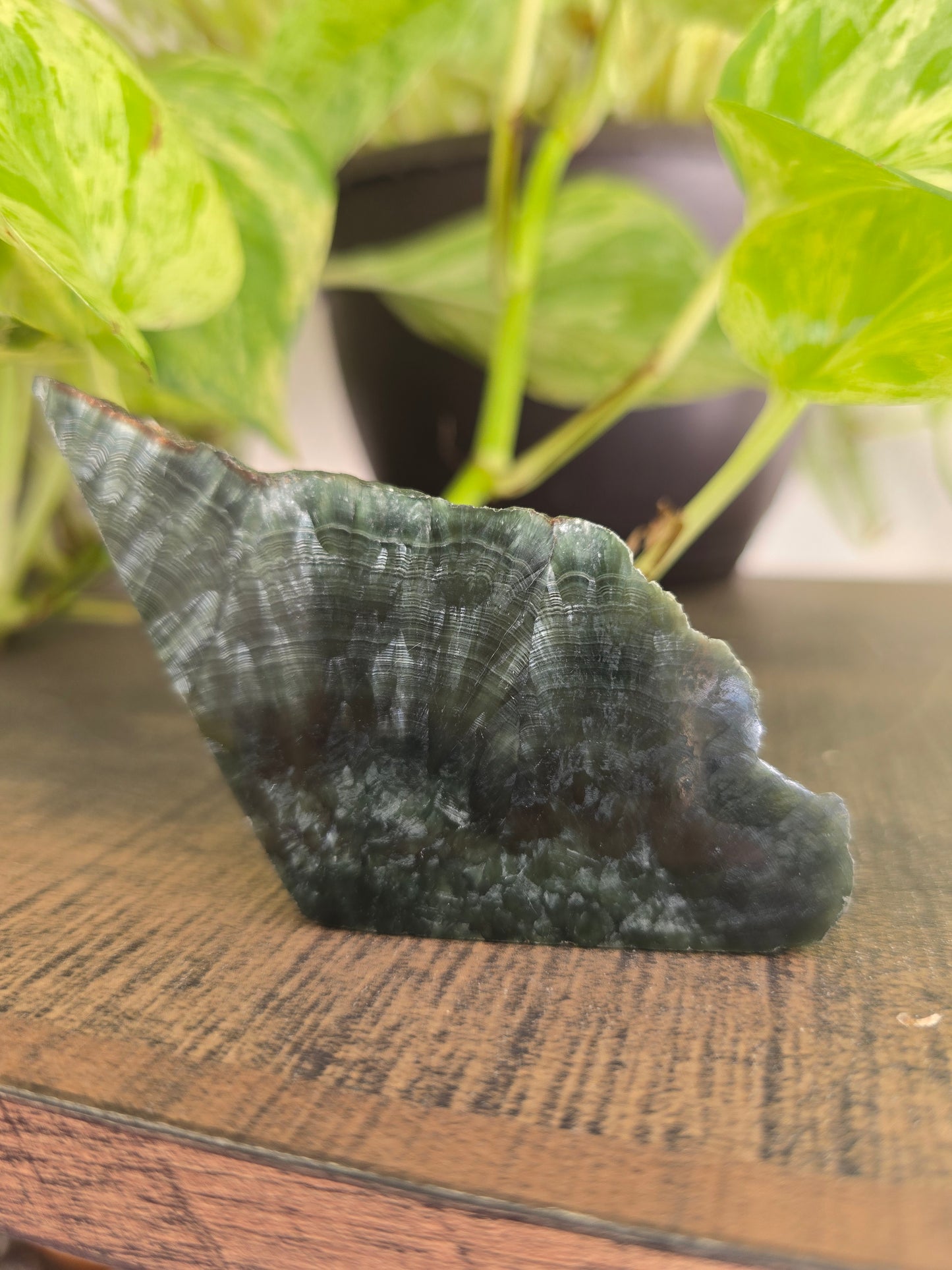 Seraphinite Mini Slab