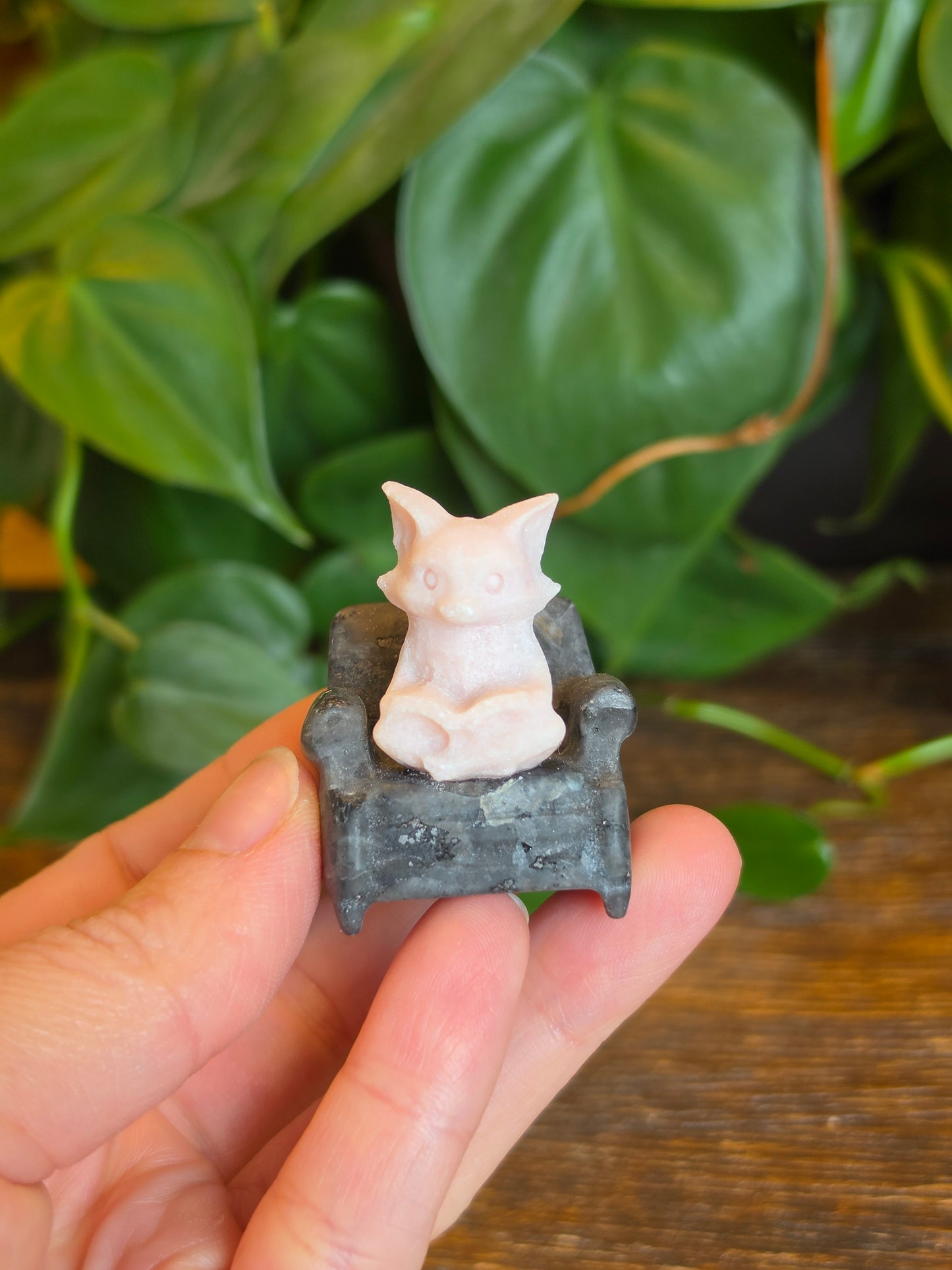 Pink Opal Fox on a Larvikite Chair