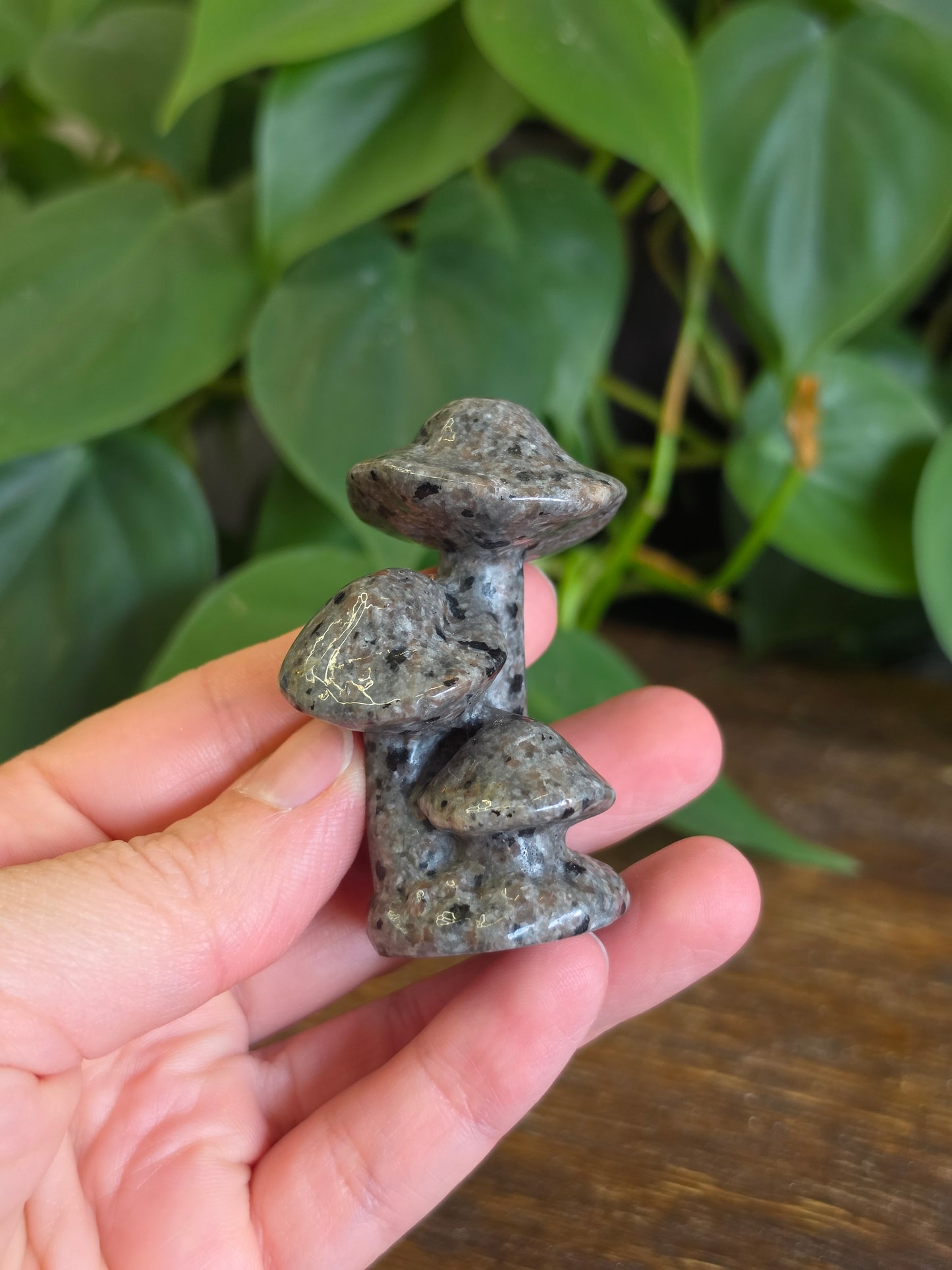 UV Reactive Sodalite Yooperlite Triple Mushroom Carving