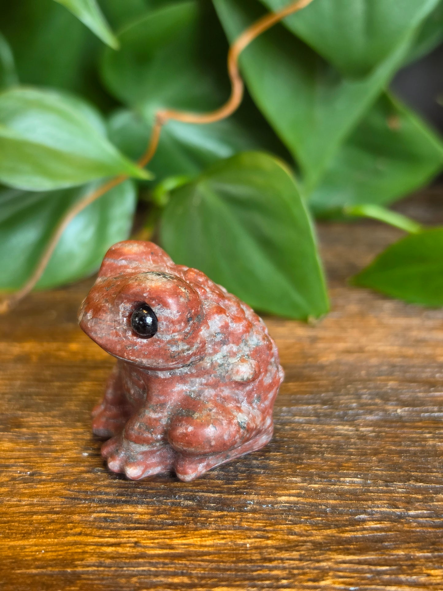 Red Jasper Crystal Frog Carving (One Piece)