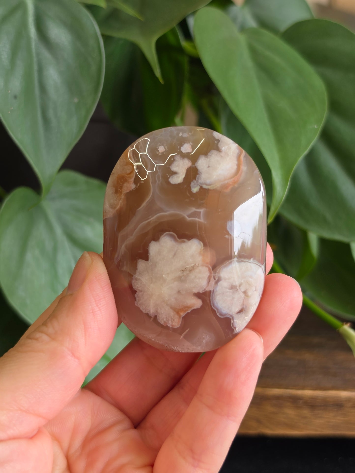 Flower Agate Crystal Palm Stone