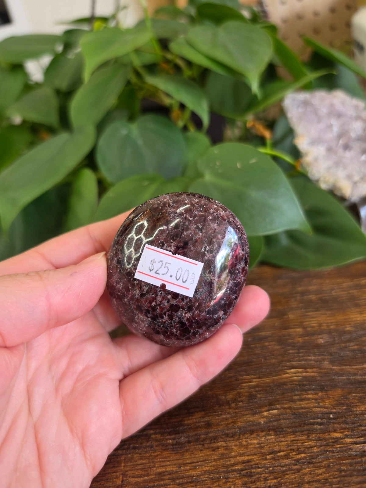 Garnet Crystal Palm Stone