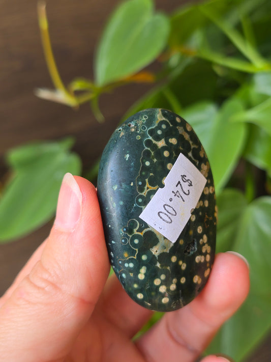 8th Vein Ocean Jasper Palm Stone