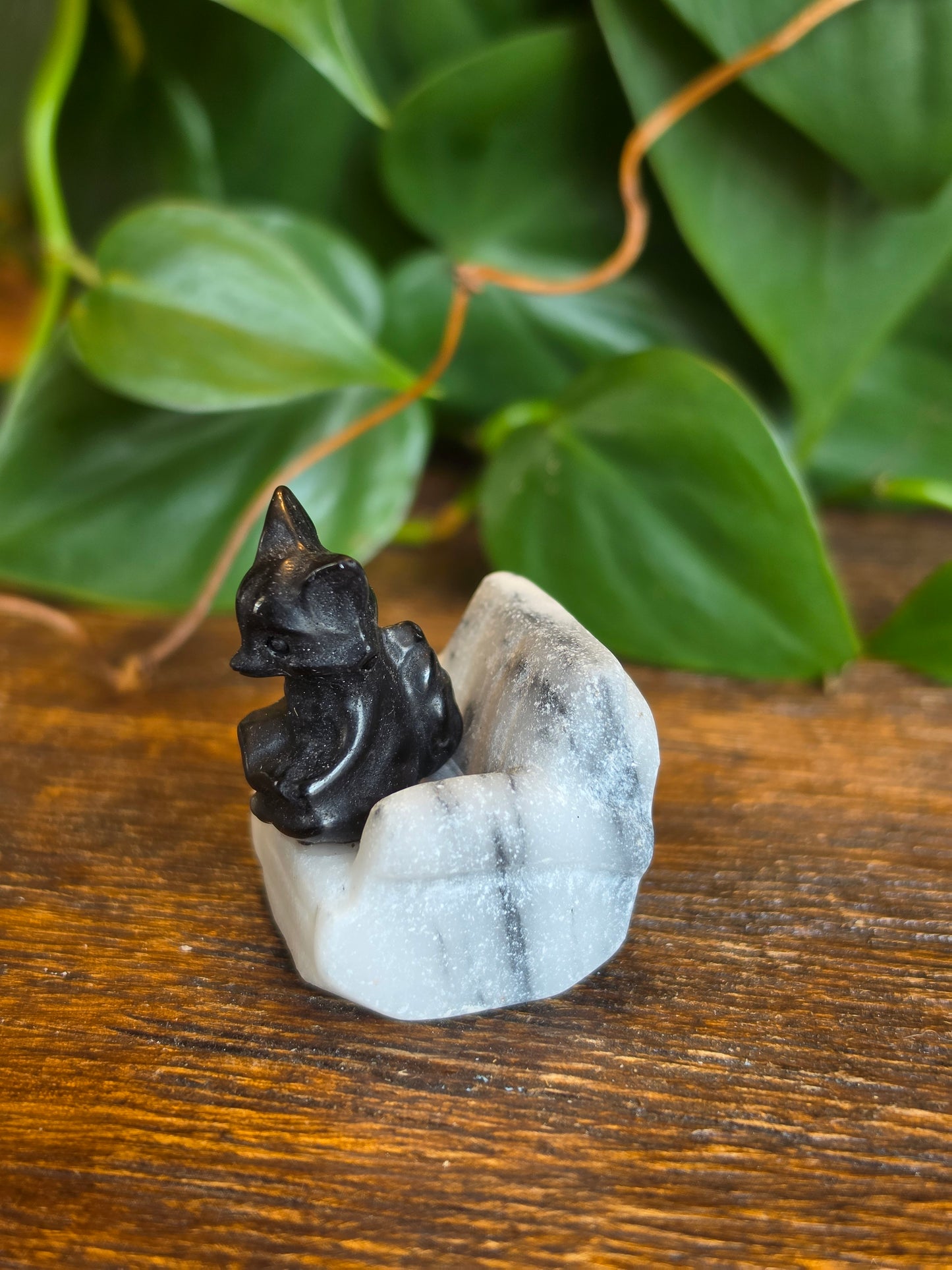Obsidian Fox on a Zebra Stone Chair