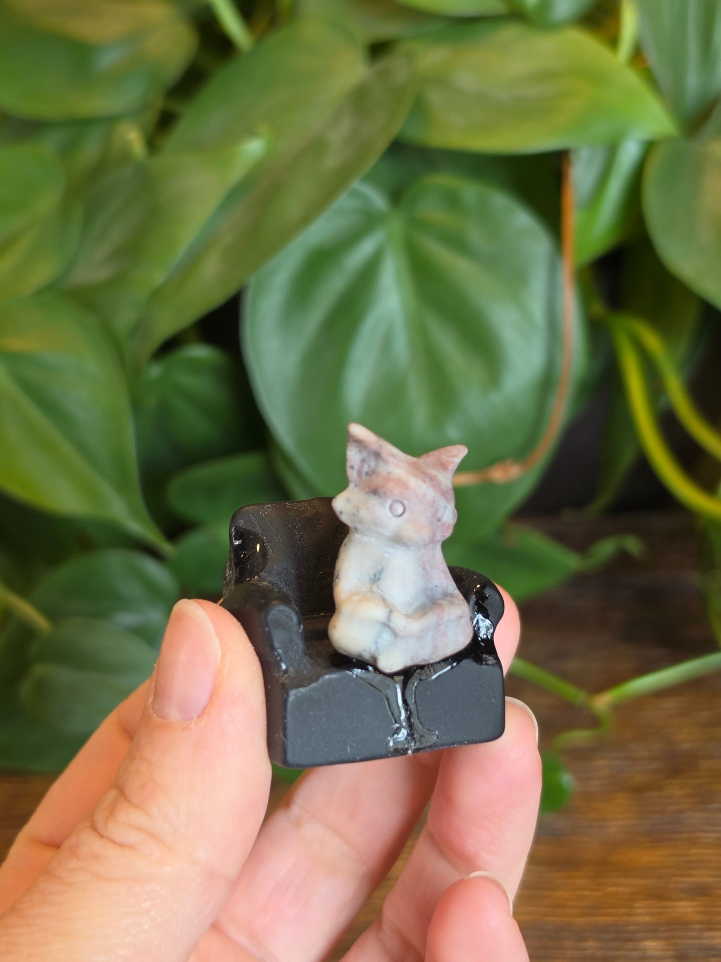 Picture Jasper Fox on an Obsidian Chair