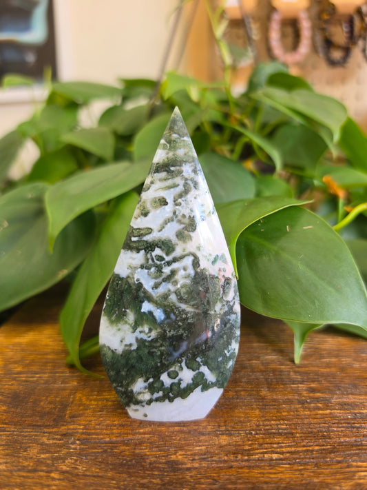 Moss Agate Crystal Flipper Carving (CROOKED)