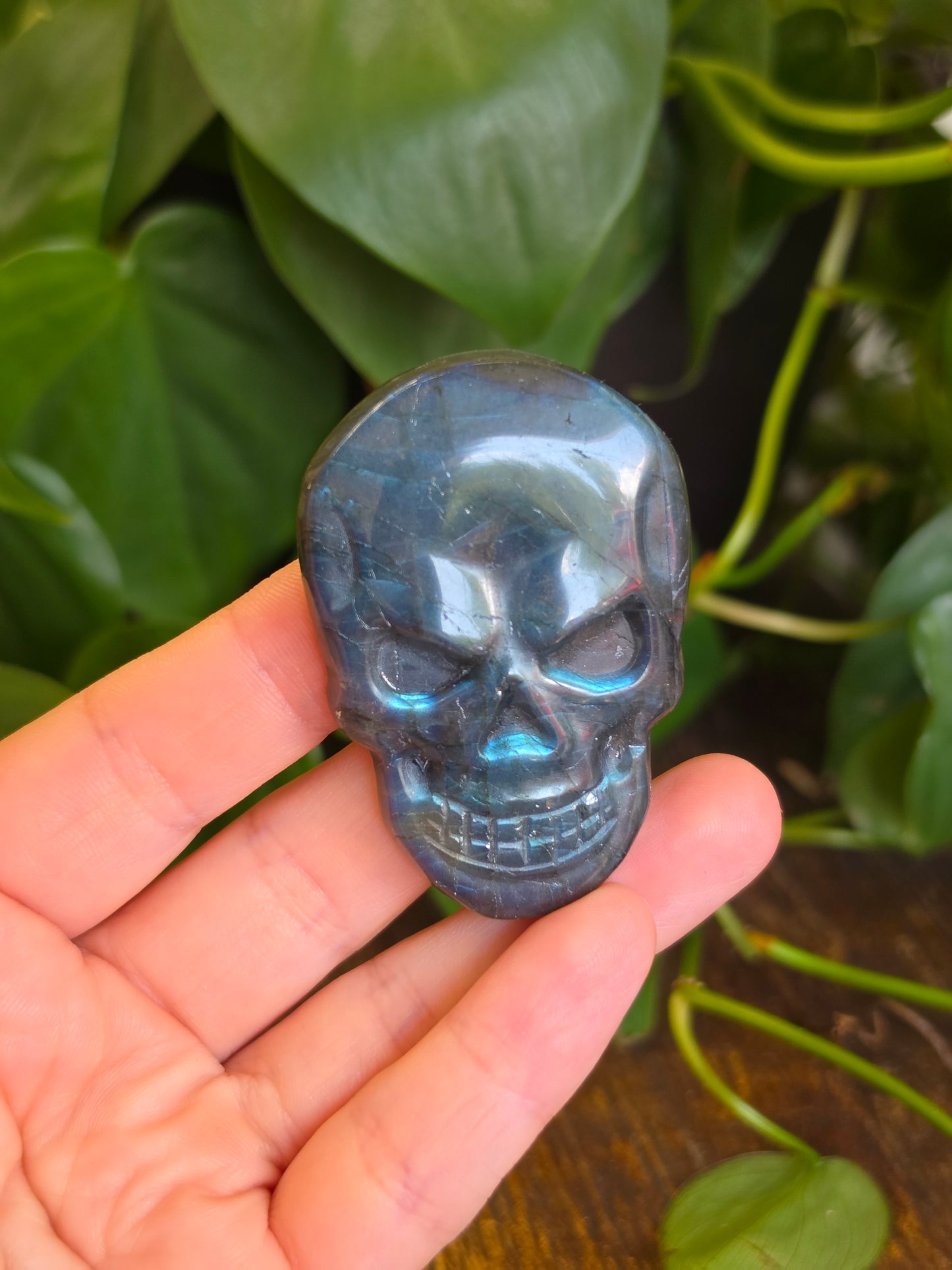 Labradorite Skull Carving "B"