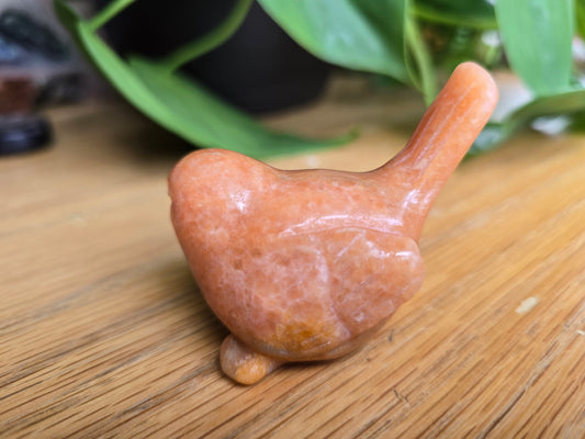 Sunstone Bird