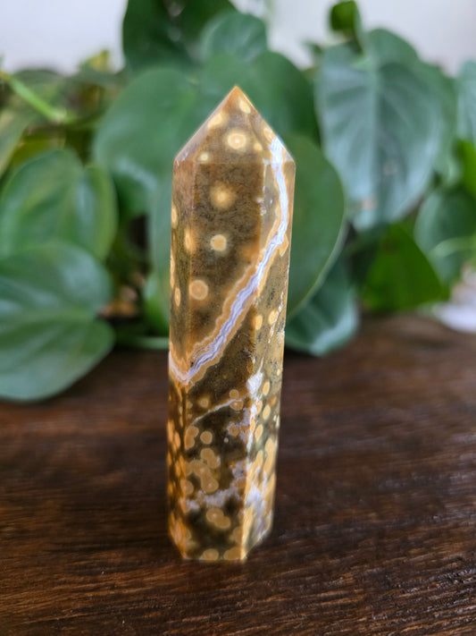 Ocean Jasper Tower "F"
