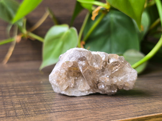 Smoky Quartz Cluster