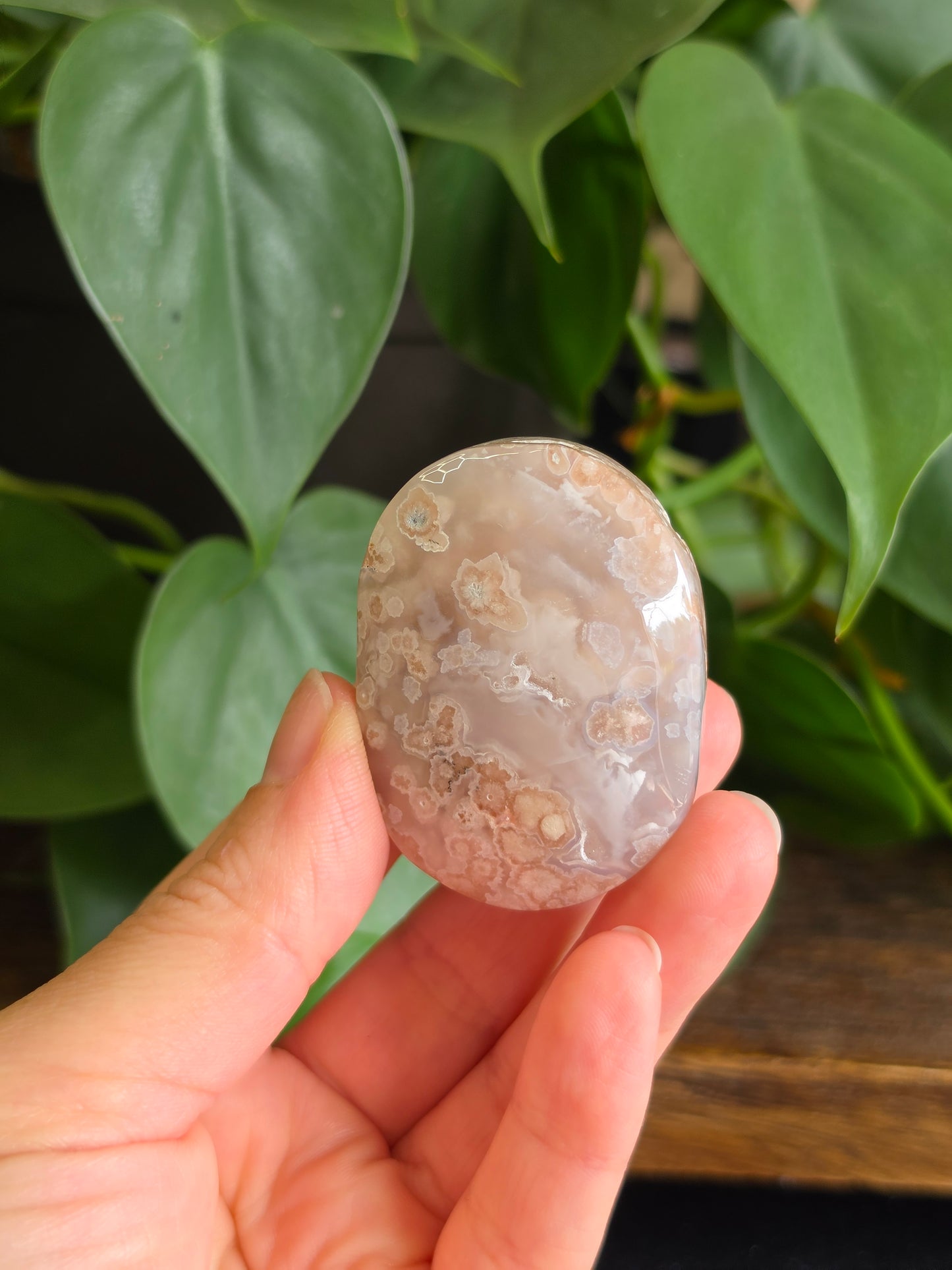 Flower Agate Crystal Palm Stone "H"