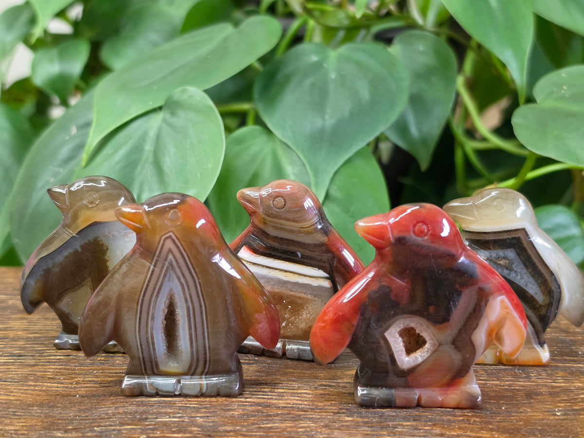 Agate Crystal Penguin Carving