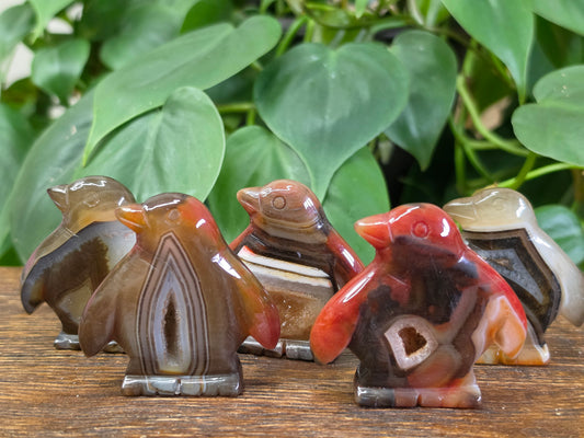 Agate Crystal Penguin Carving