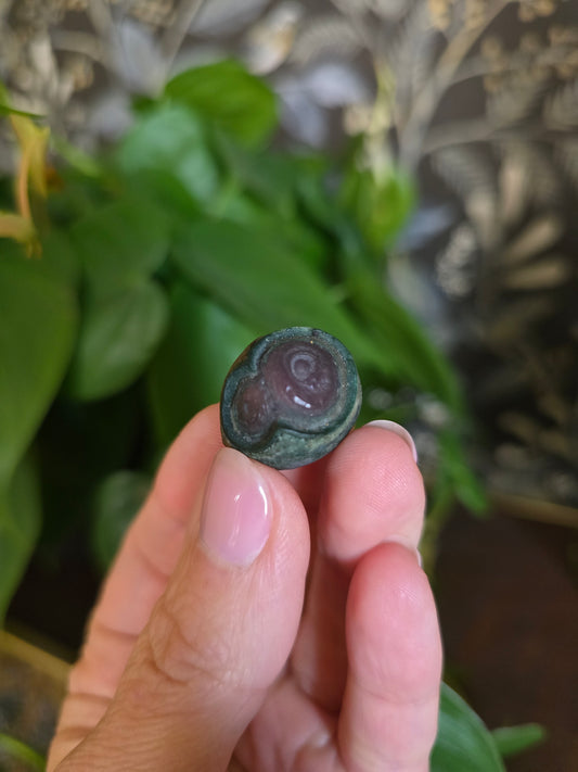 Natural Gobi Agate