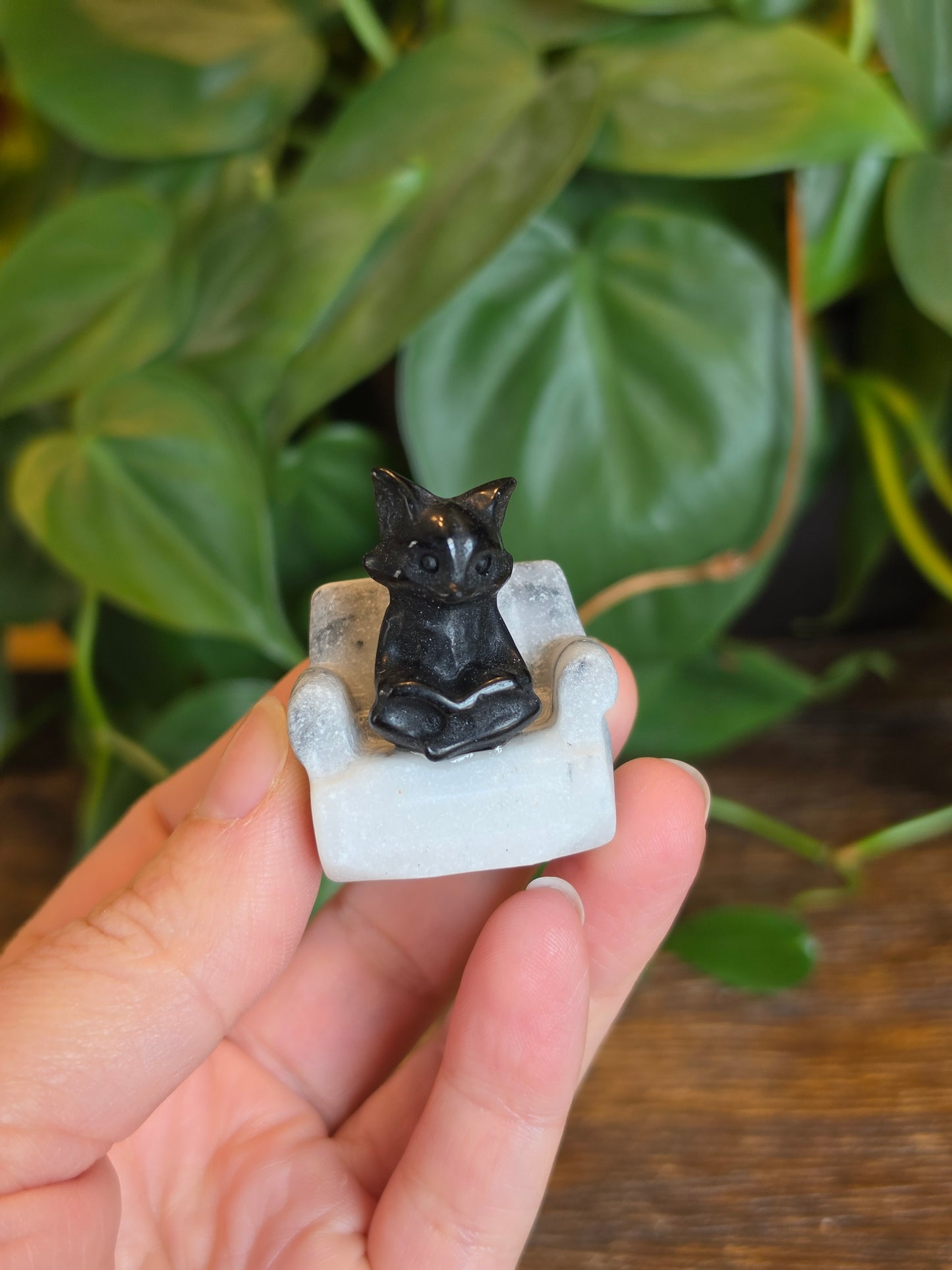 Obsidian Fox on a Zebra Stone Chair
