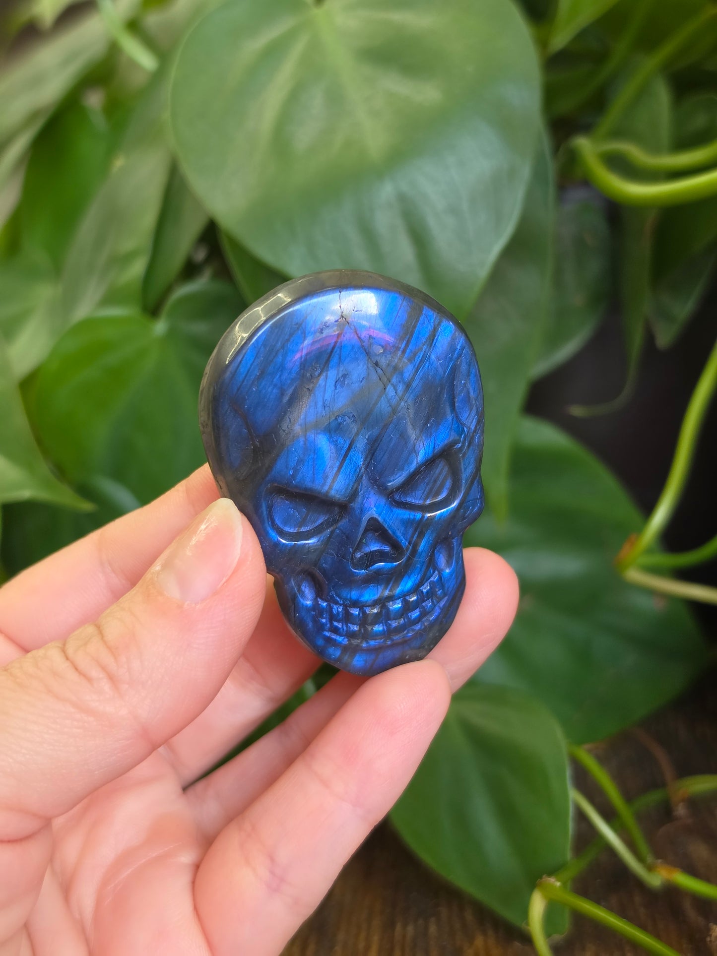 Labradorite Skull Carving "A"