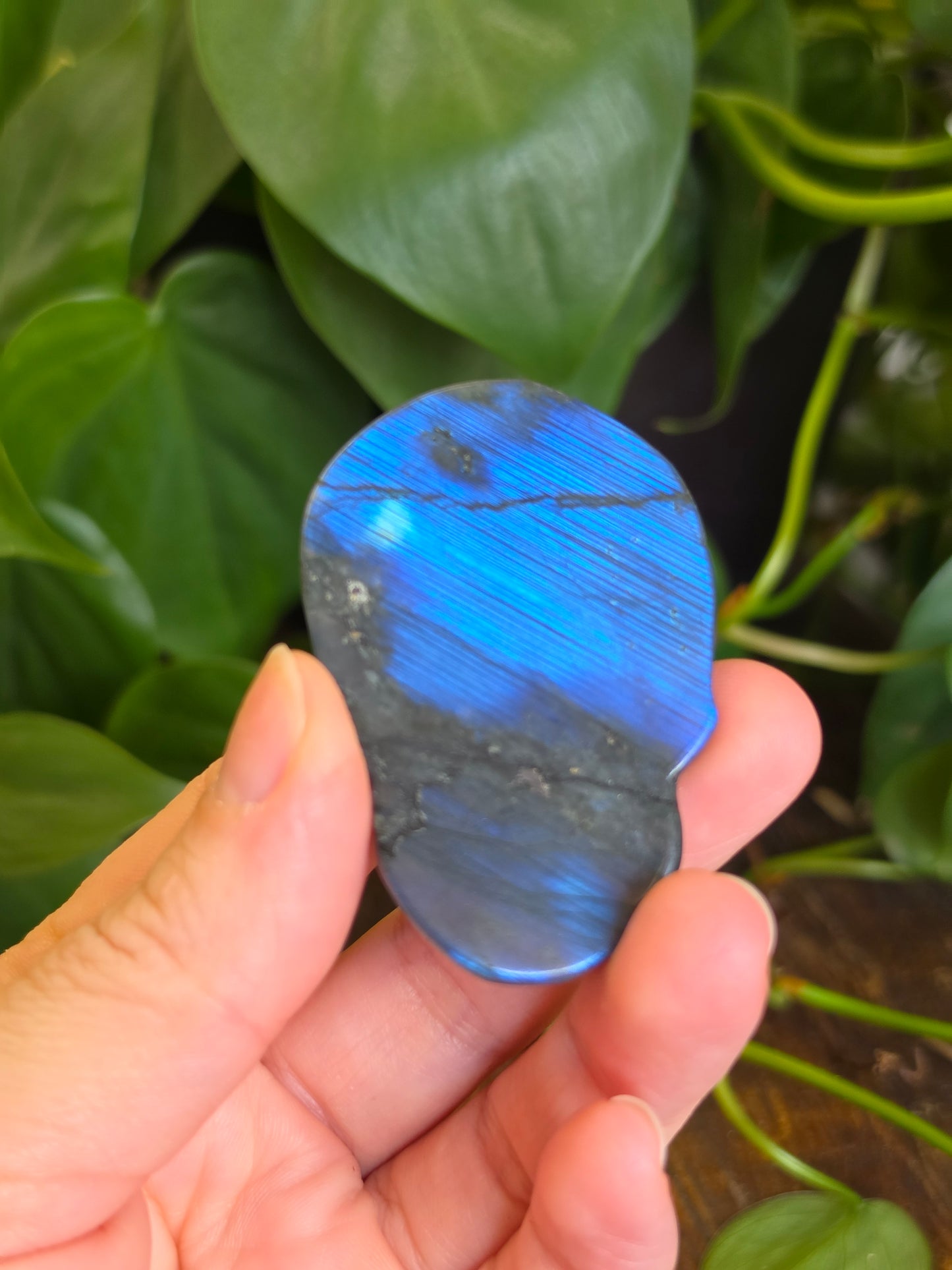 Labradorite Skull Carving "C"