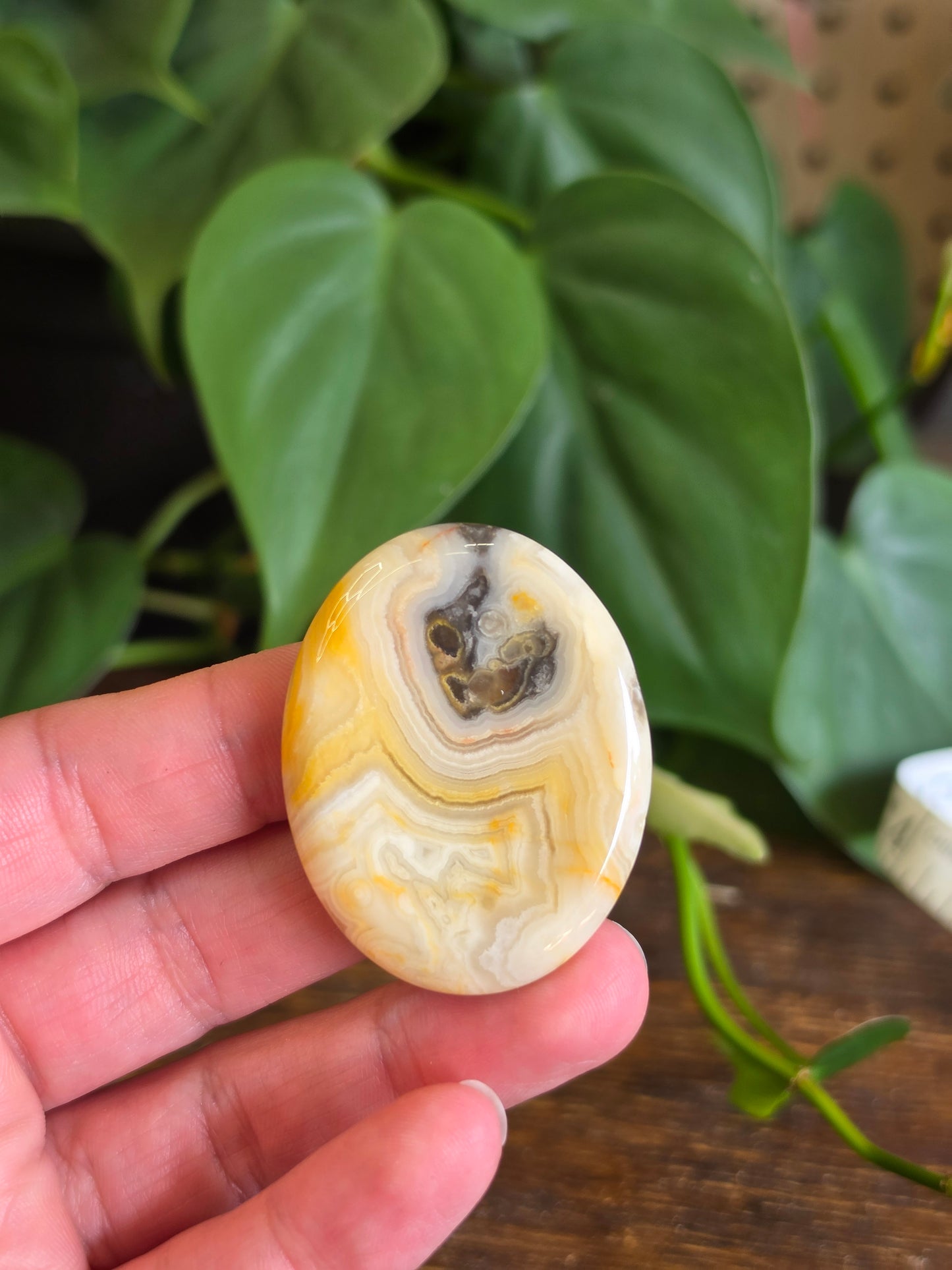 Mexican Crazy Lace Agate Crystal Worry Stone
