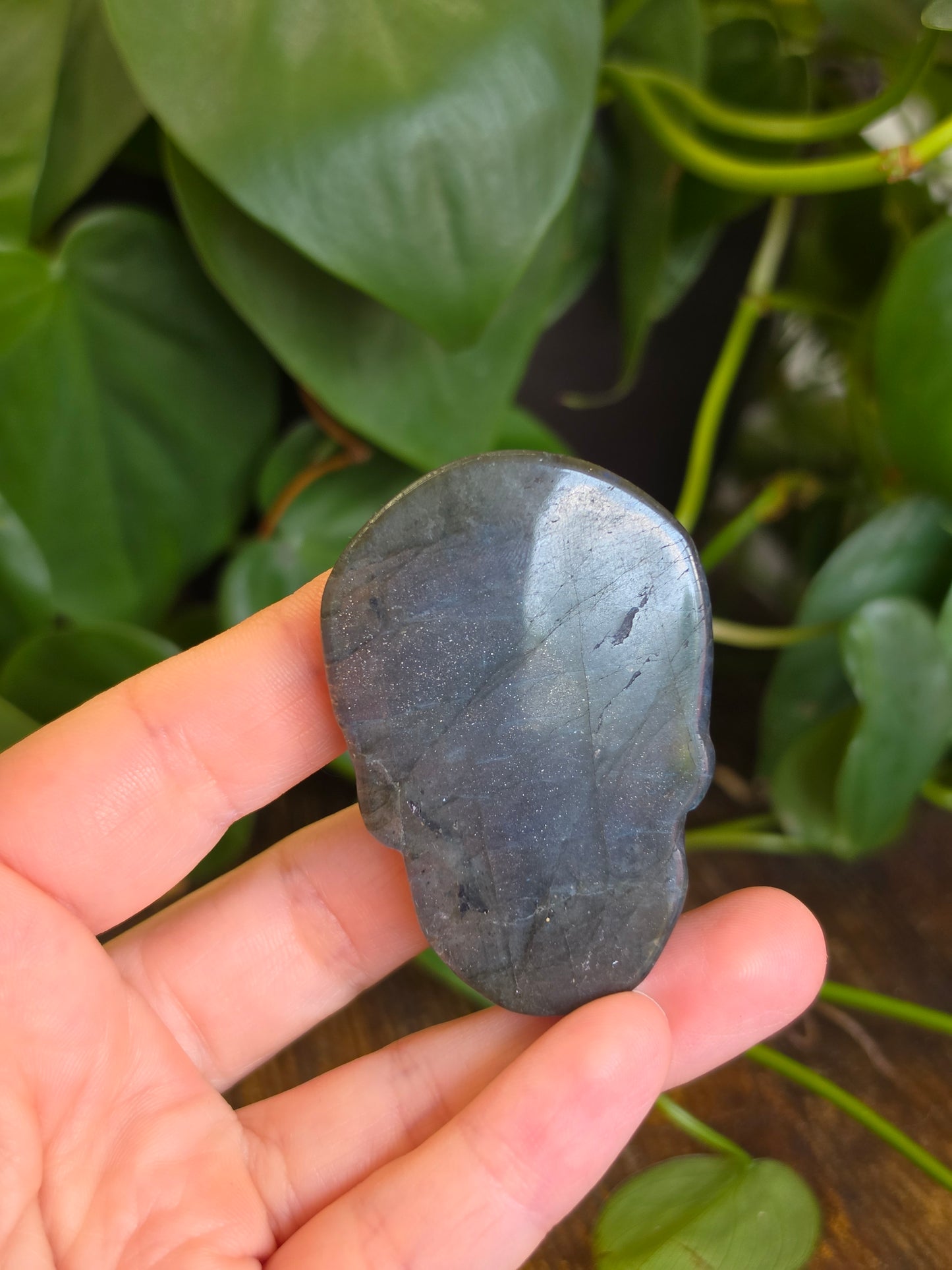 Labradorite Skull Carving "B"