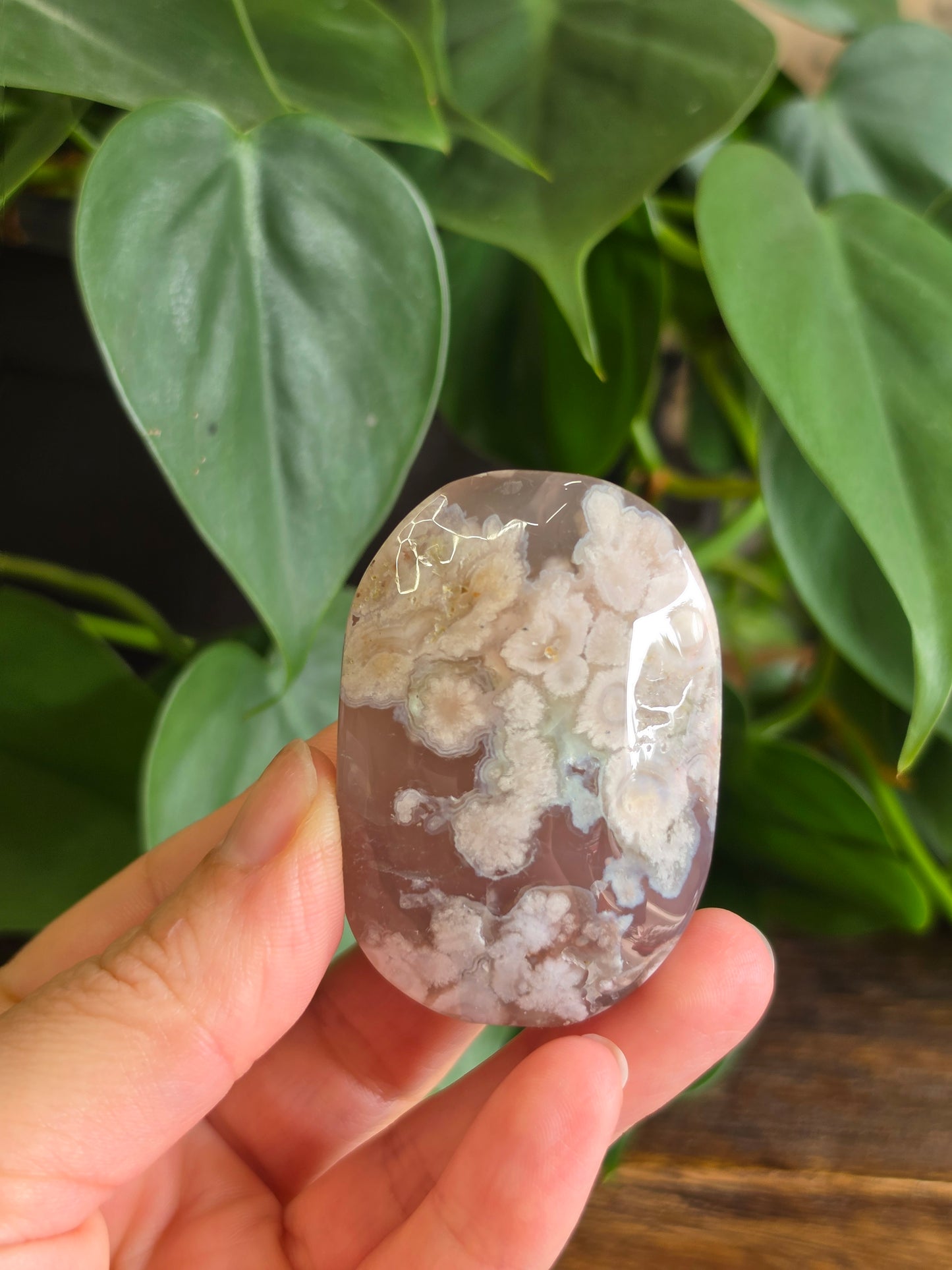 Flower Agate Crystal Palm Stone "F"