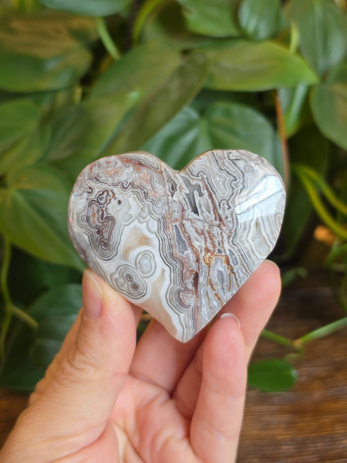 Mexican Crazy Lace Agate Crystal Heart Carving "C"