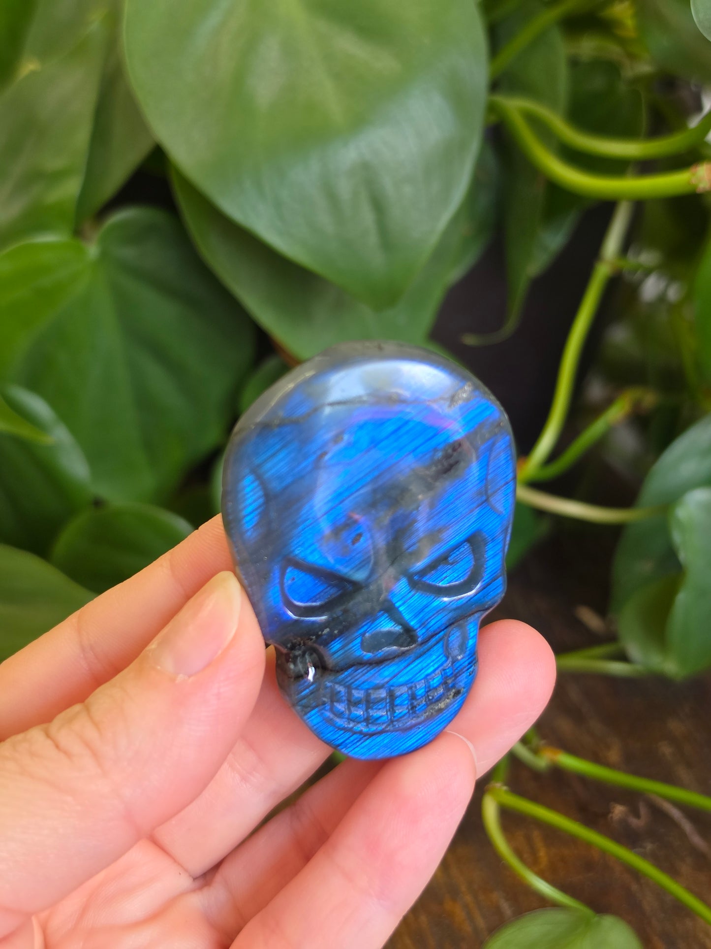 Labradorite Skull Carving "C"